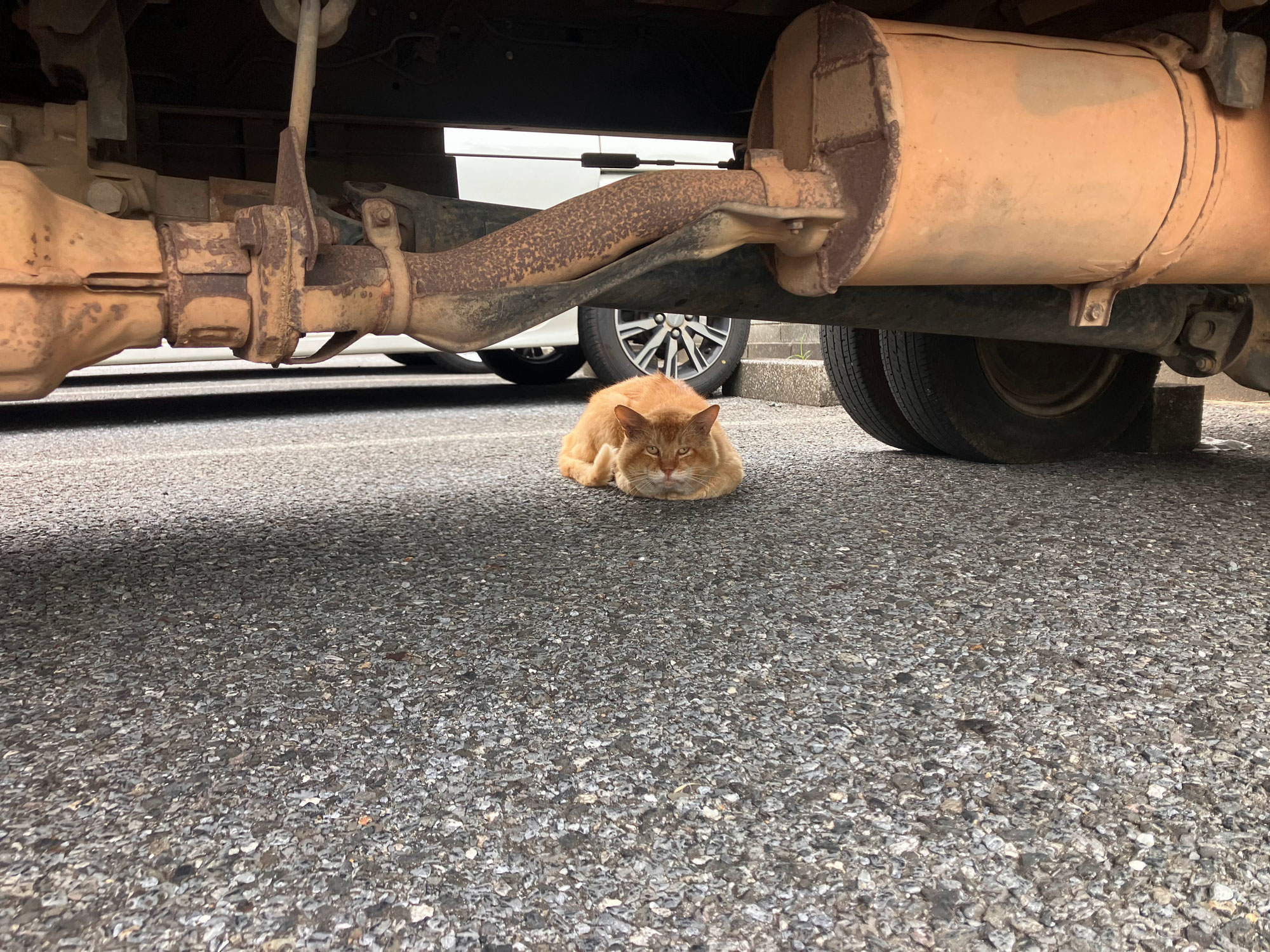 リースのススメ