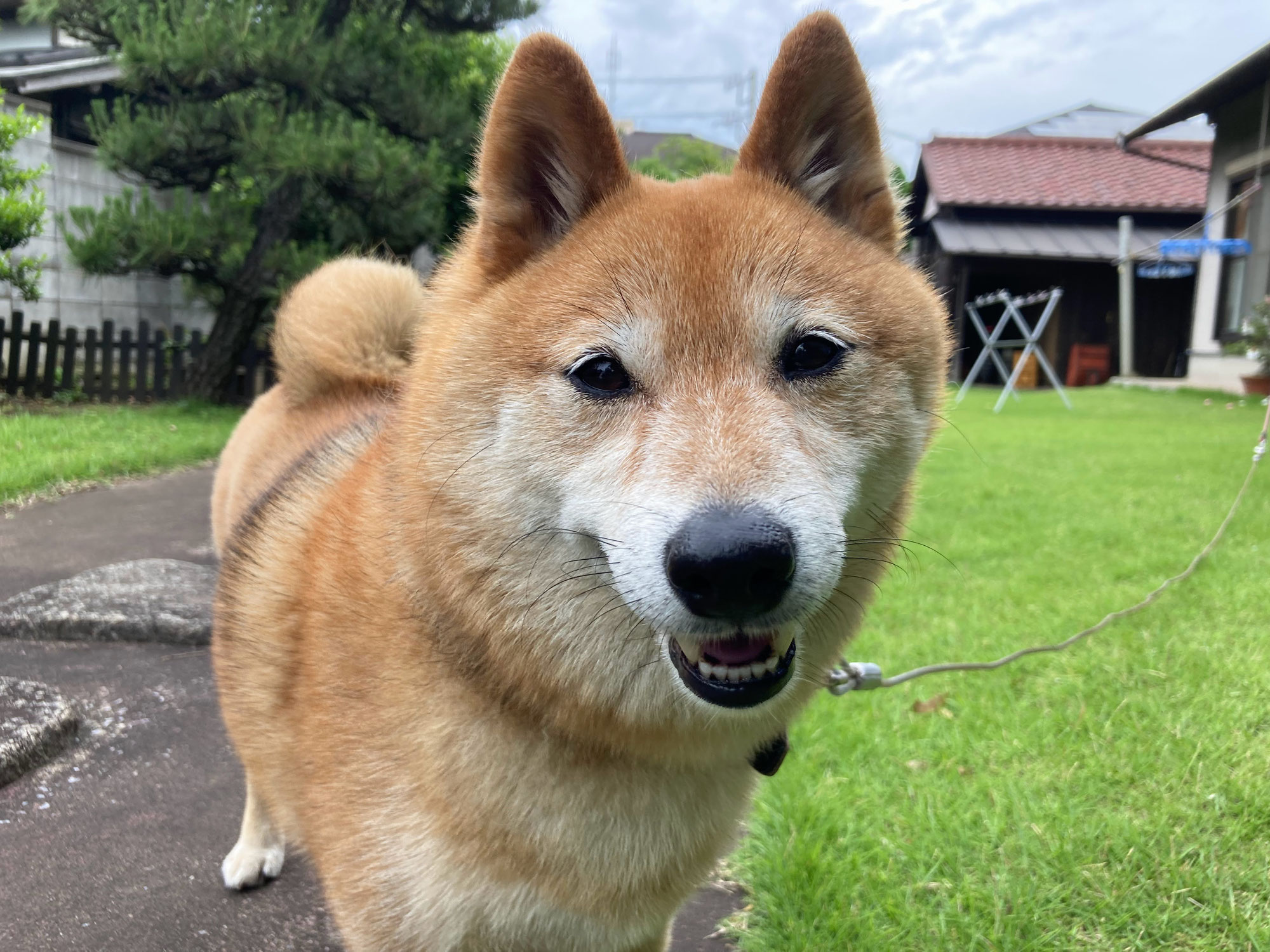 憧れの富士山