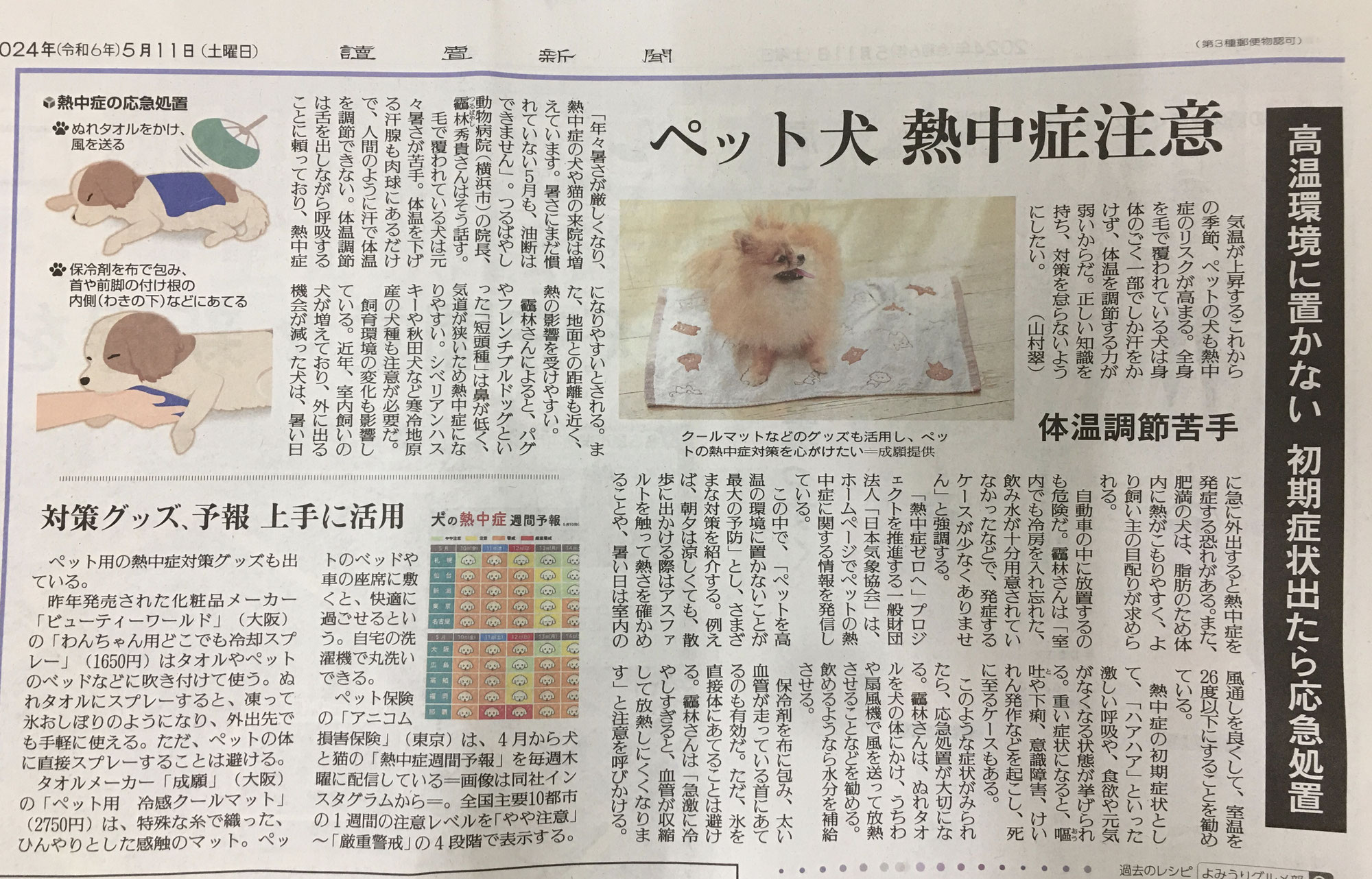 2024年5月14日　院長の記事が読売新聞に掲載されました！