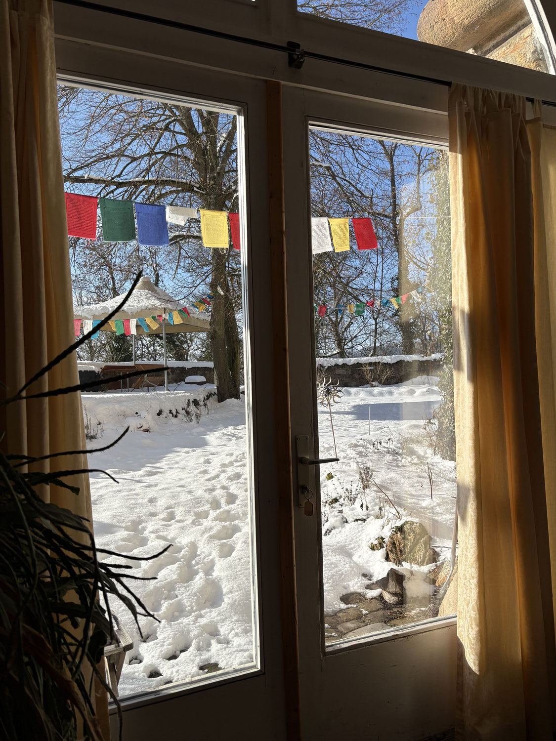 Was Schweigen und Meditation mit dem Körper macht