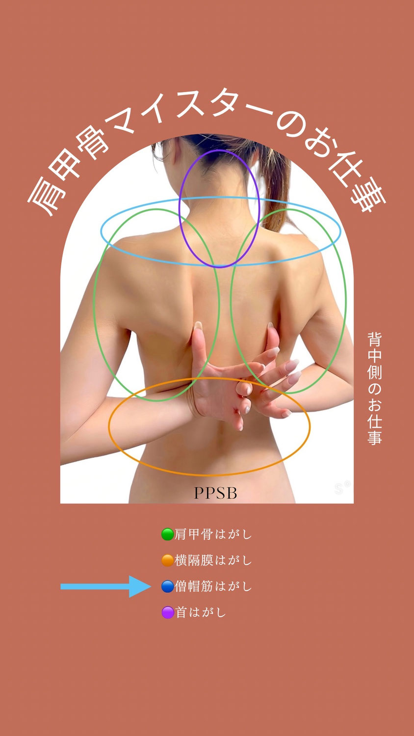 背中の首根本の盛り上がり｜あおぞら整体院
