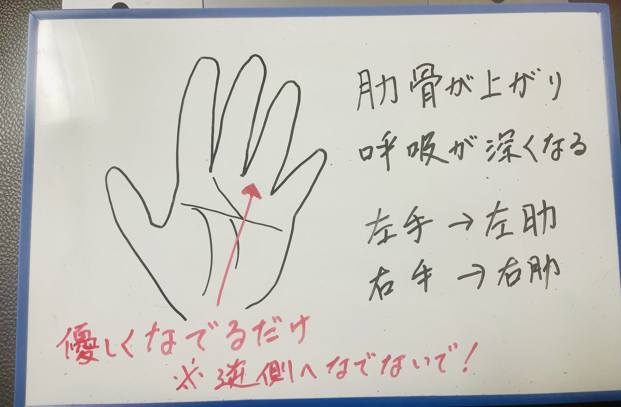 一年の感謝とプレゼントのご案内｜あおぞら整体院
