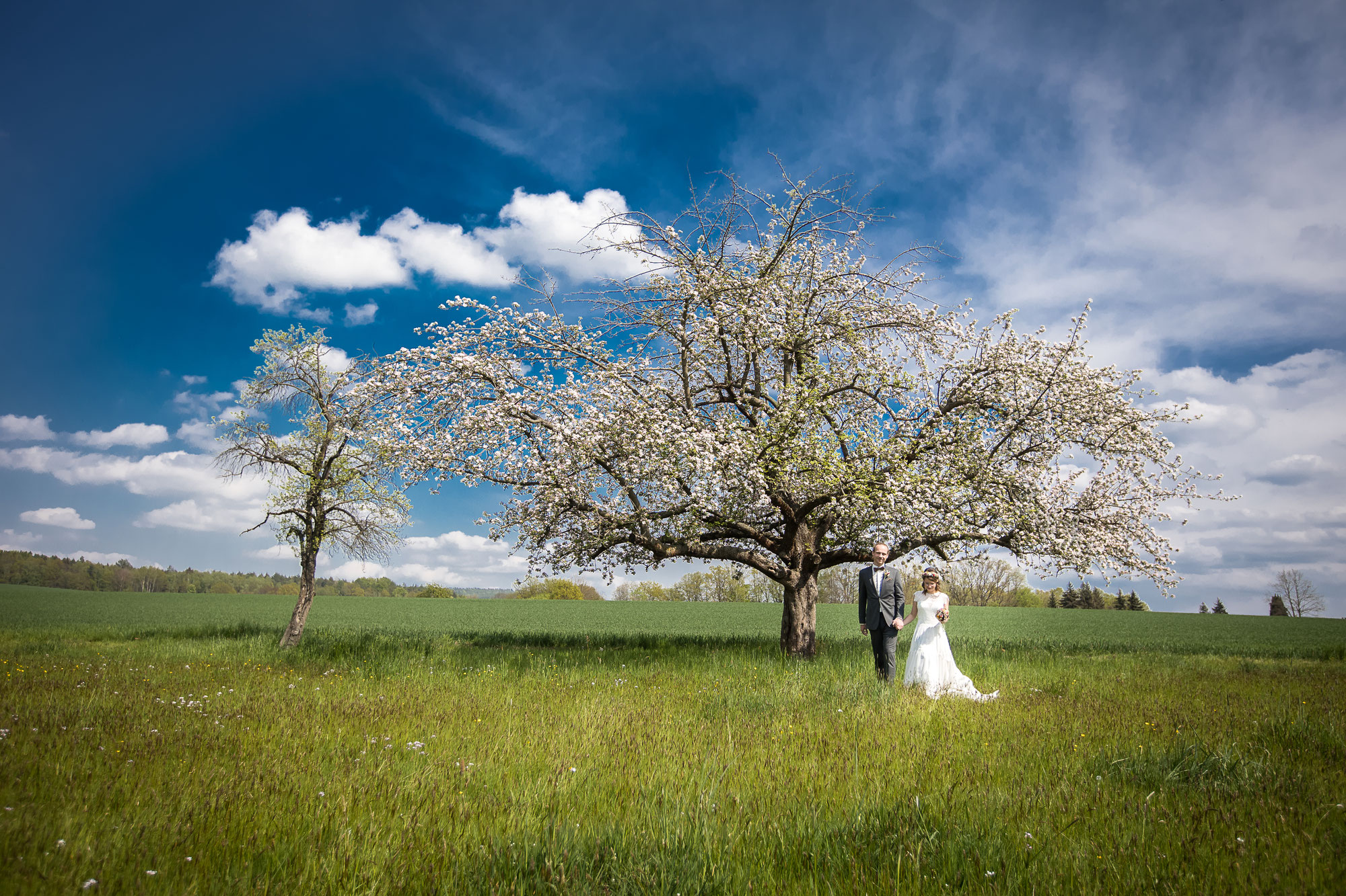 Hochzeit in der Sächsischen Schweiz