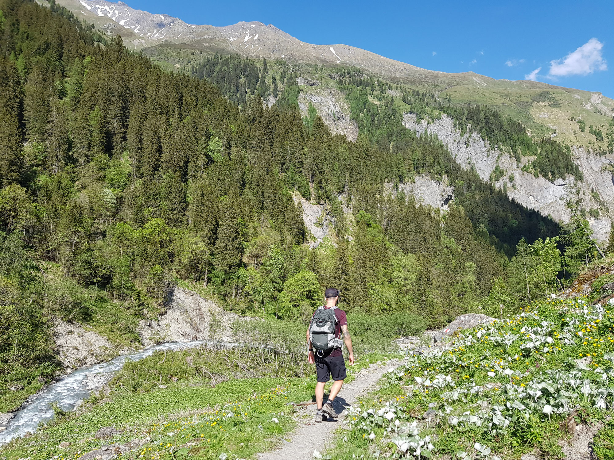 Wanderung: St. Martin - Sardona Alp - St. Martin (14km / 850HM)