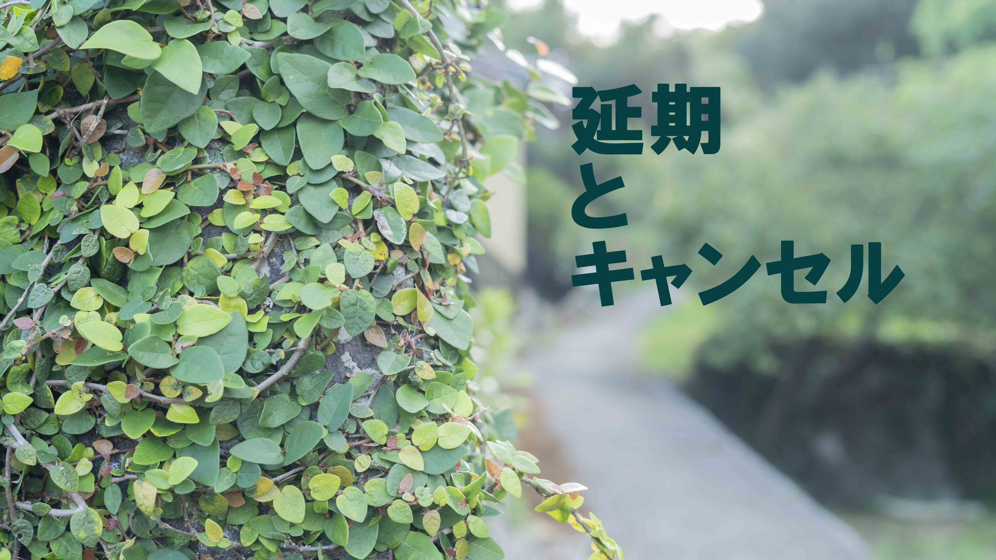 延期とキャンセル