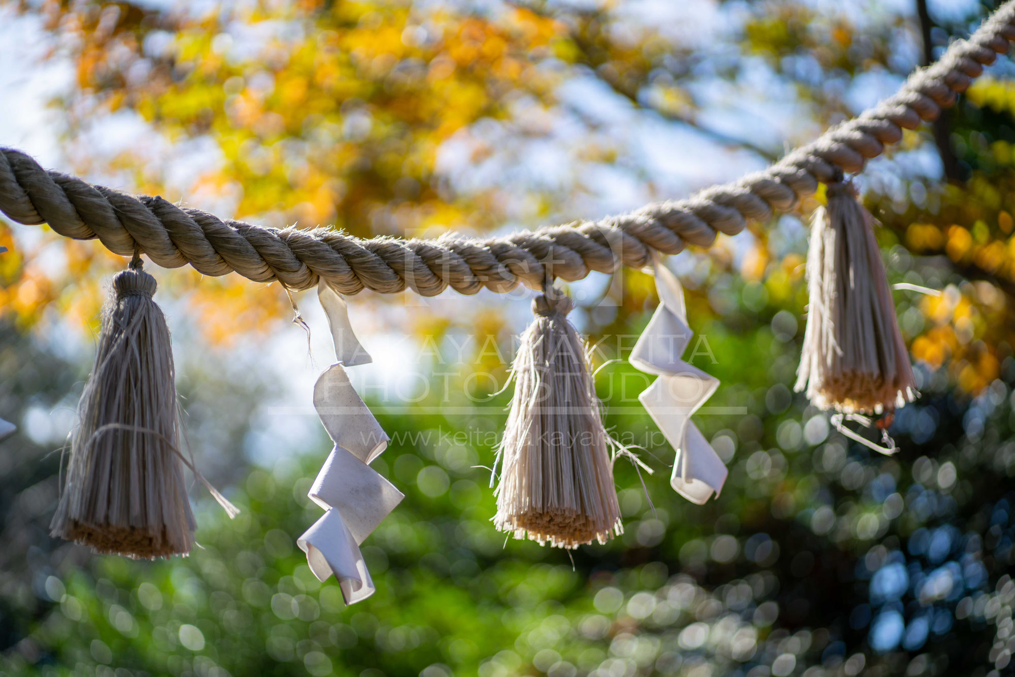 一番大事にしたいもの