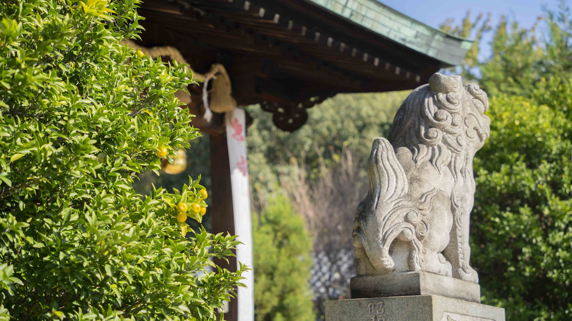 神社で撮影NGな場所