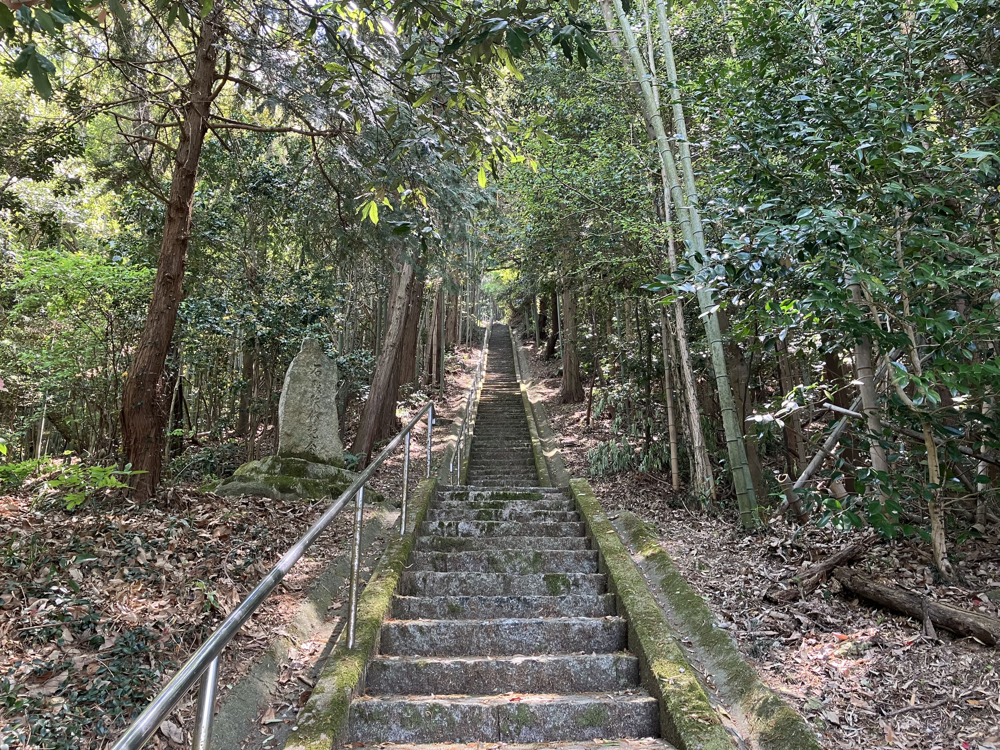 小烏の思い出