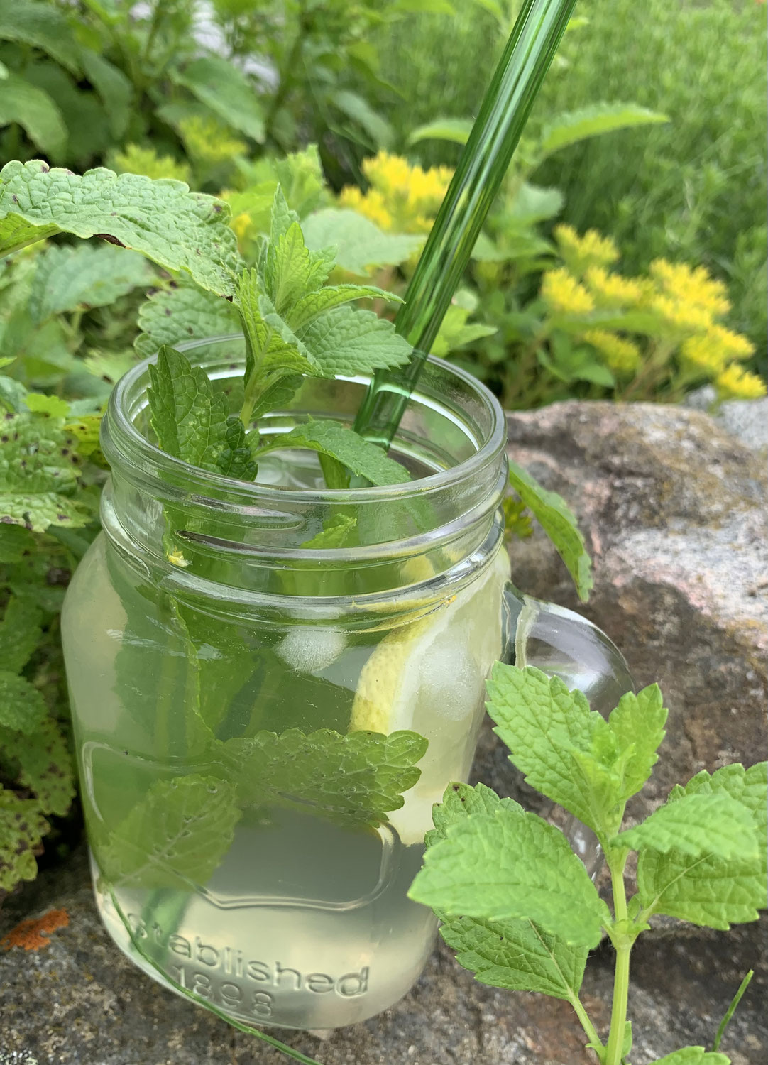 Kräuterlimonade - erfrischendes Sommergetränk selbst gemacht