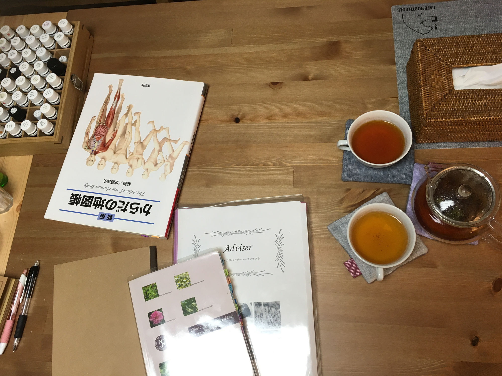 はじめまして