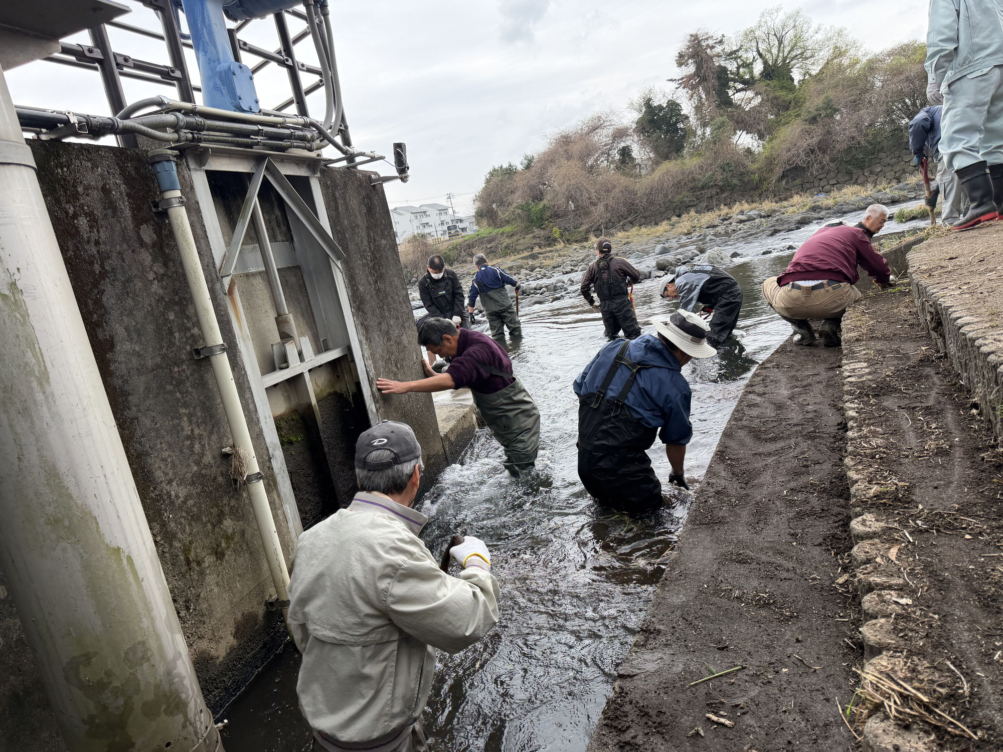 水門の土砂あげ作業を行いました