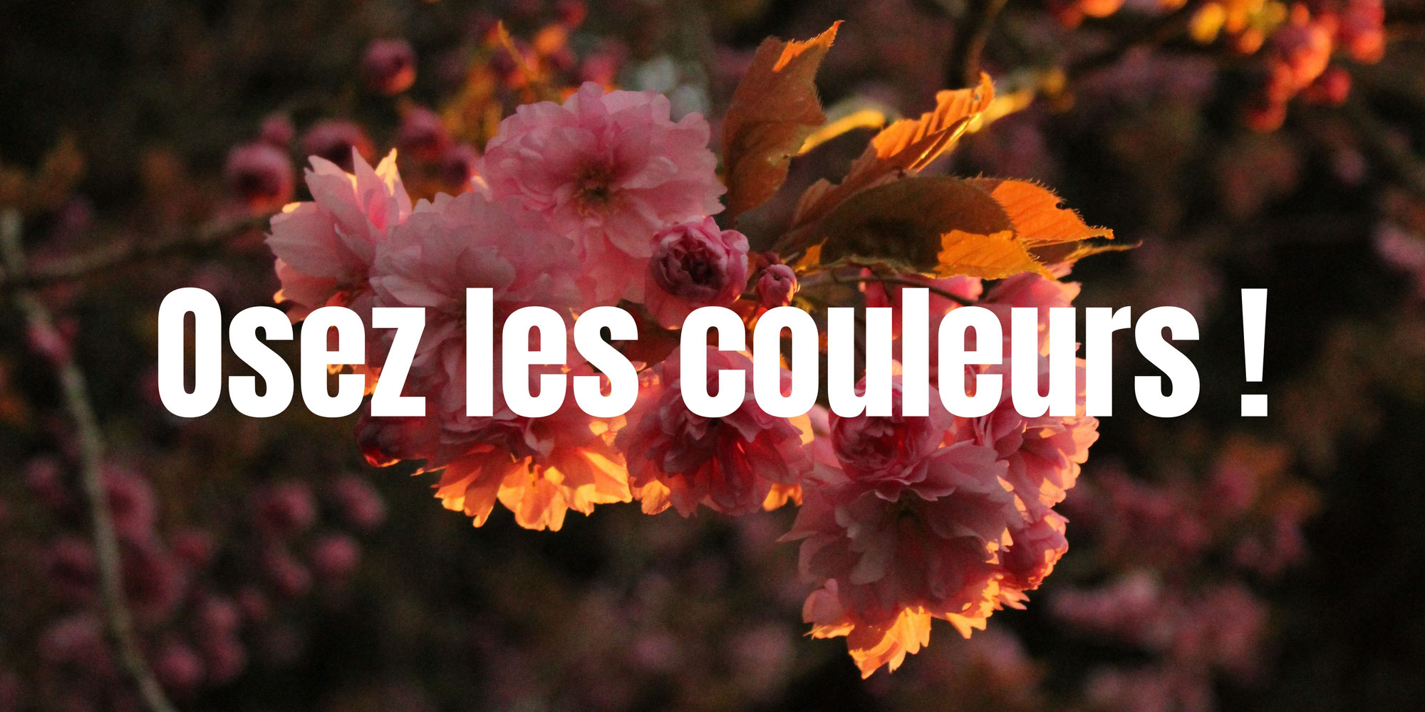 Osez les couleurs !