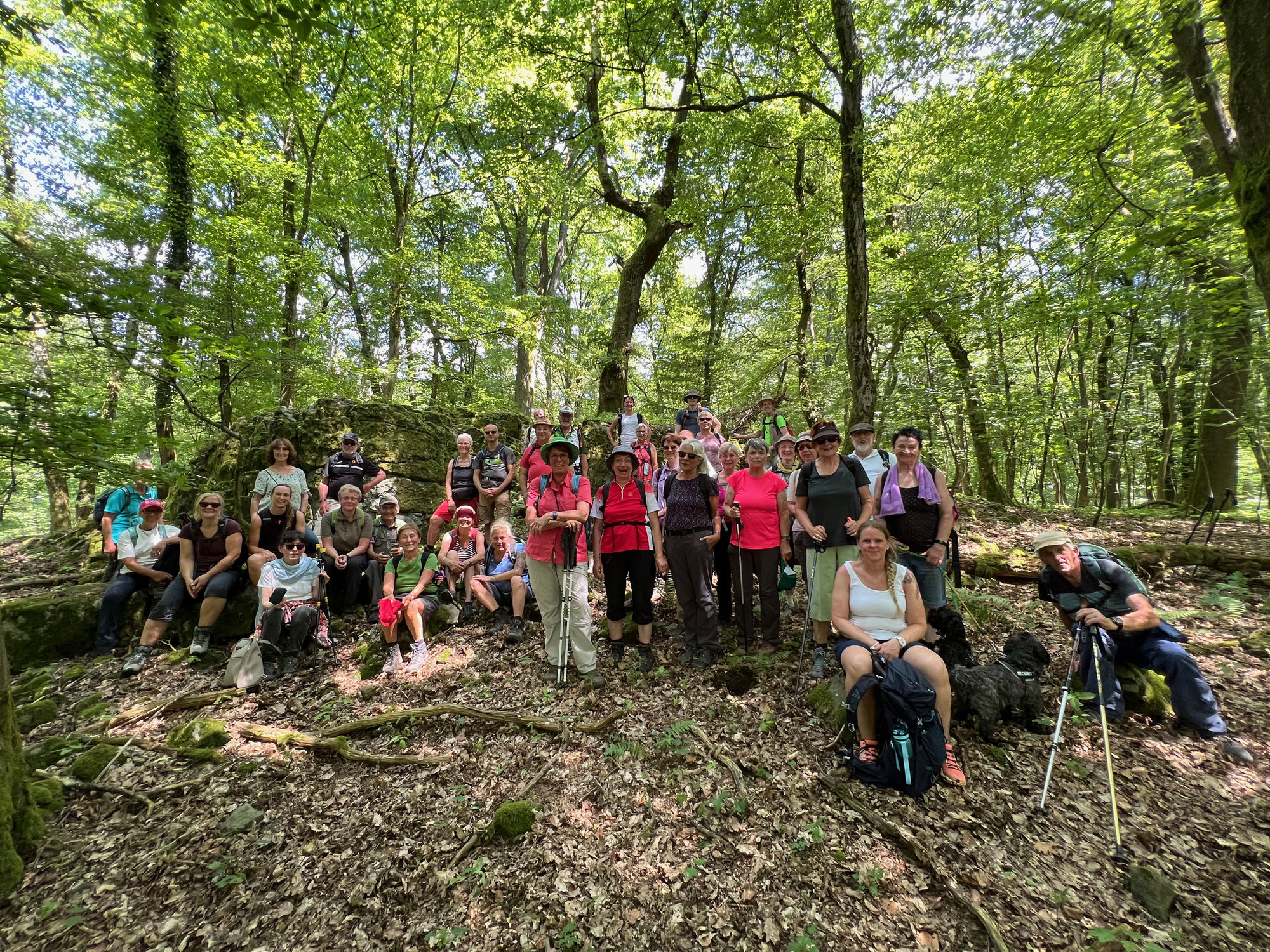 W3 „Weiher, Wahnsinns-Fernsicht und das Schmanddippe“