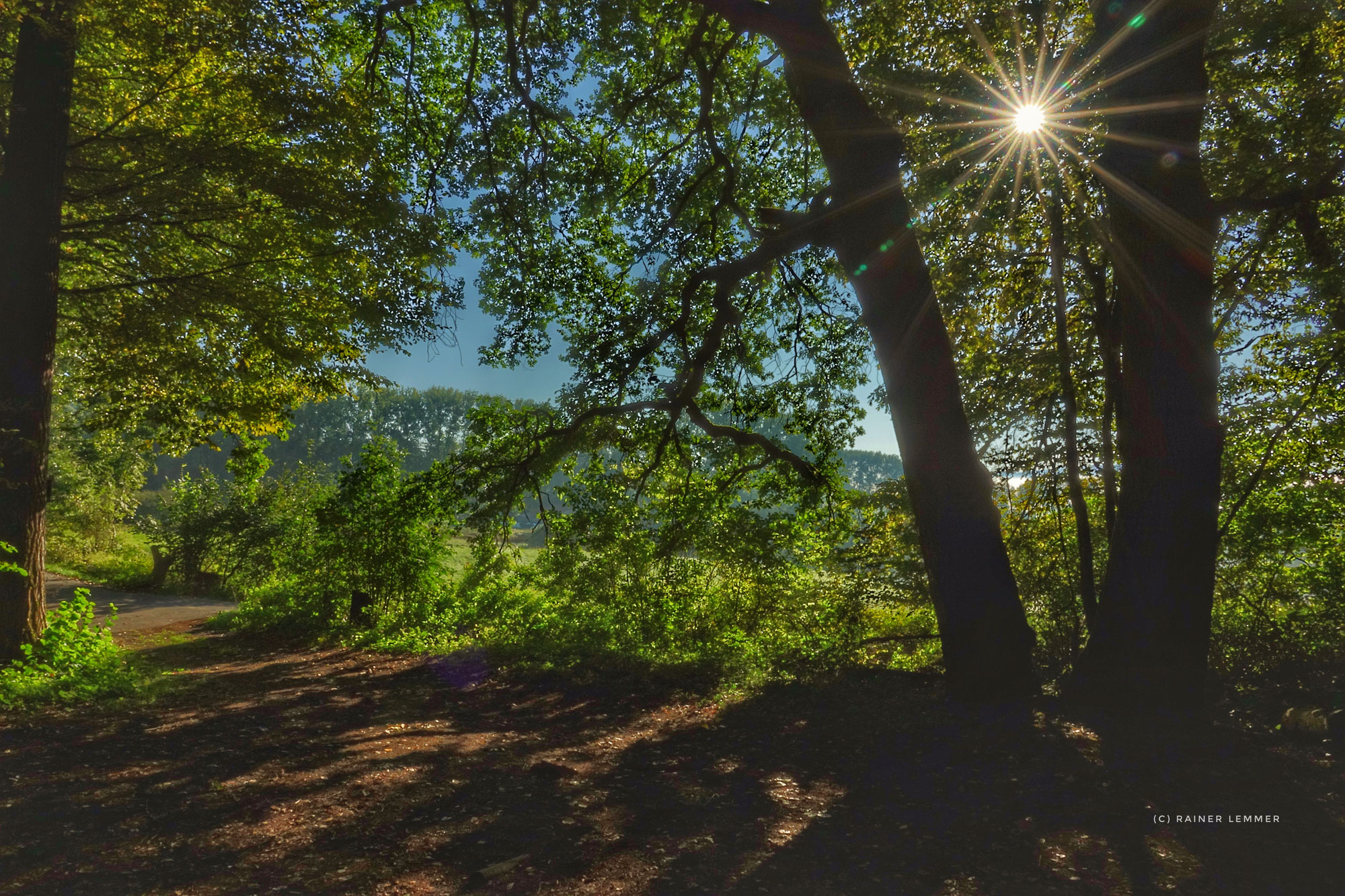 W15 „Wanderung zum Geotop "Ewiges Eis" und zur Klippe der verzweifelten Hildegard“