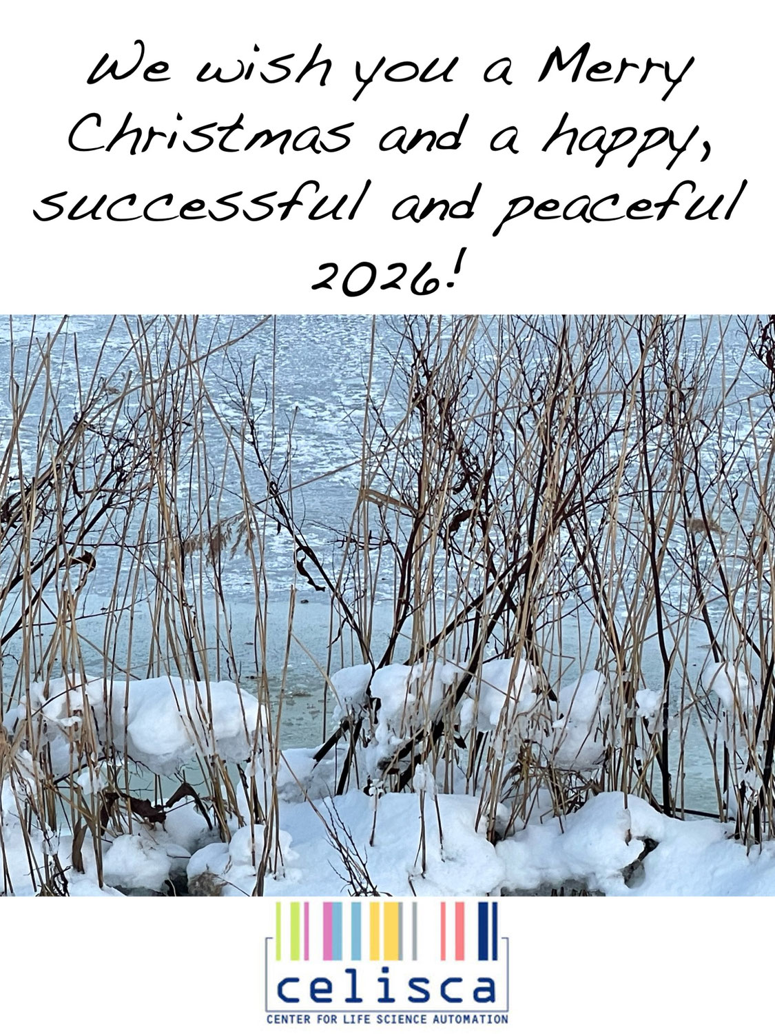 Merry Christmas and a Happy New Year!