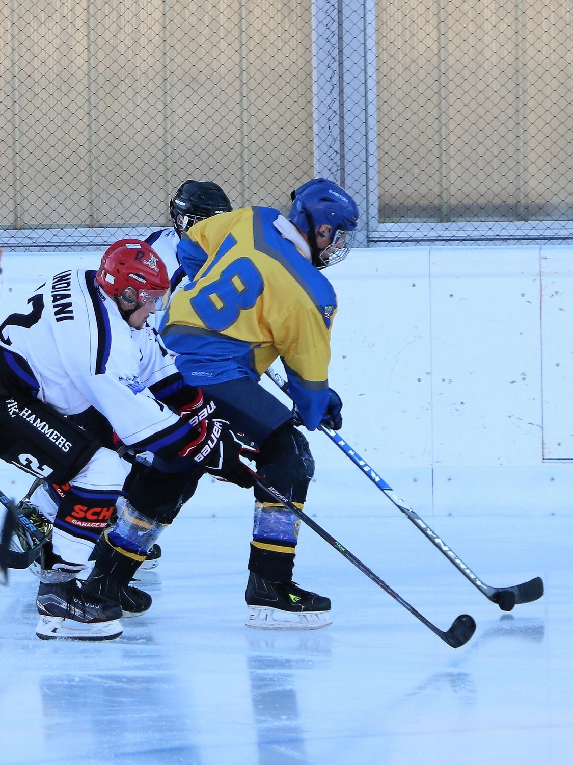 "Eichmüli_Flizzer-Viking_Hammers_5-2(2-1)(1-1)(2-0"