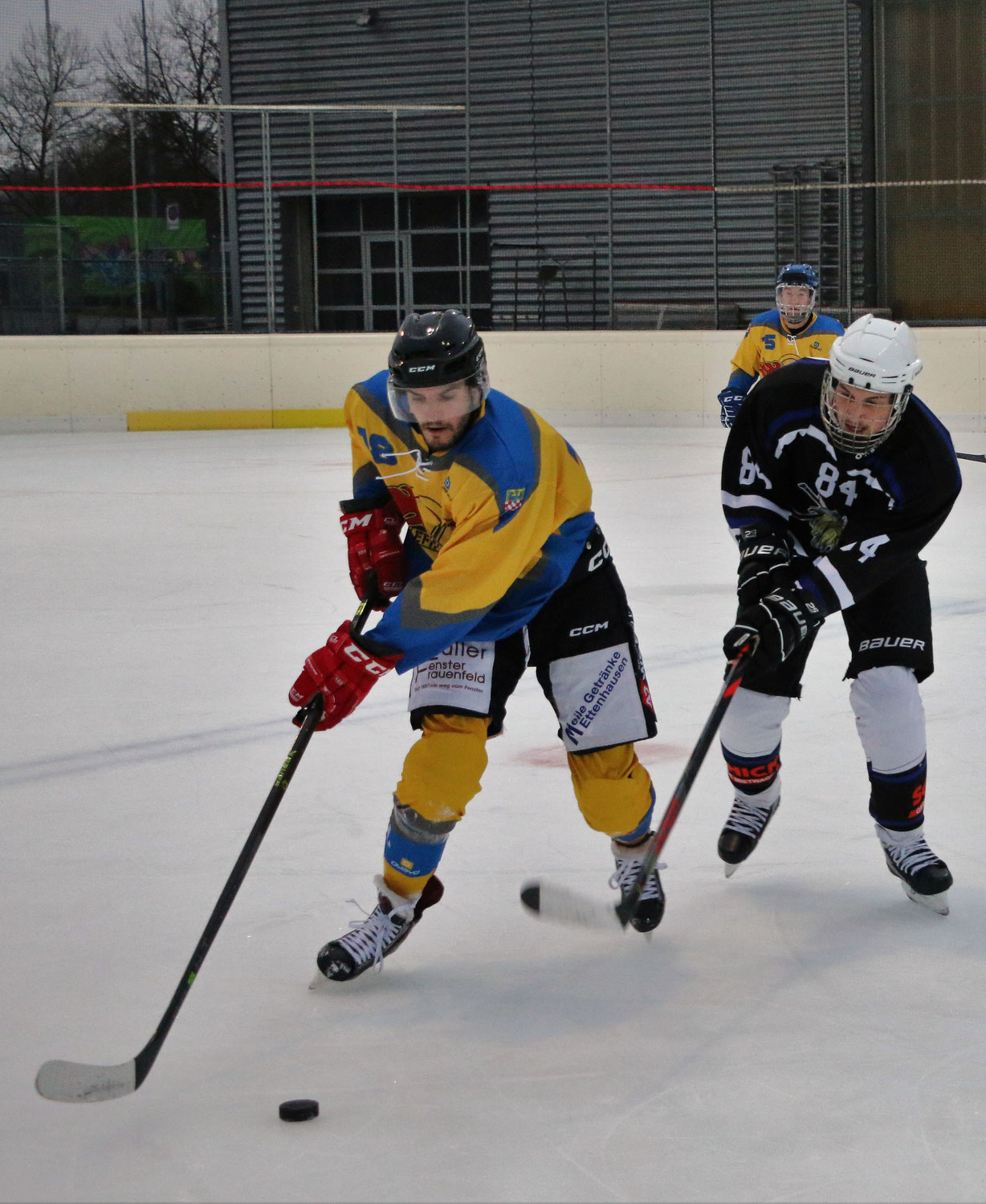 "Eichmülli_Flizzer-Viking_Hammers_7-5(2-3)(3-0)(2-2)"