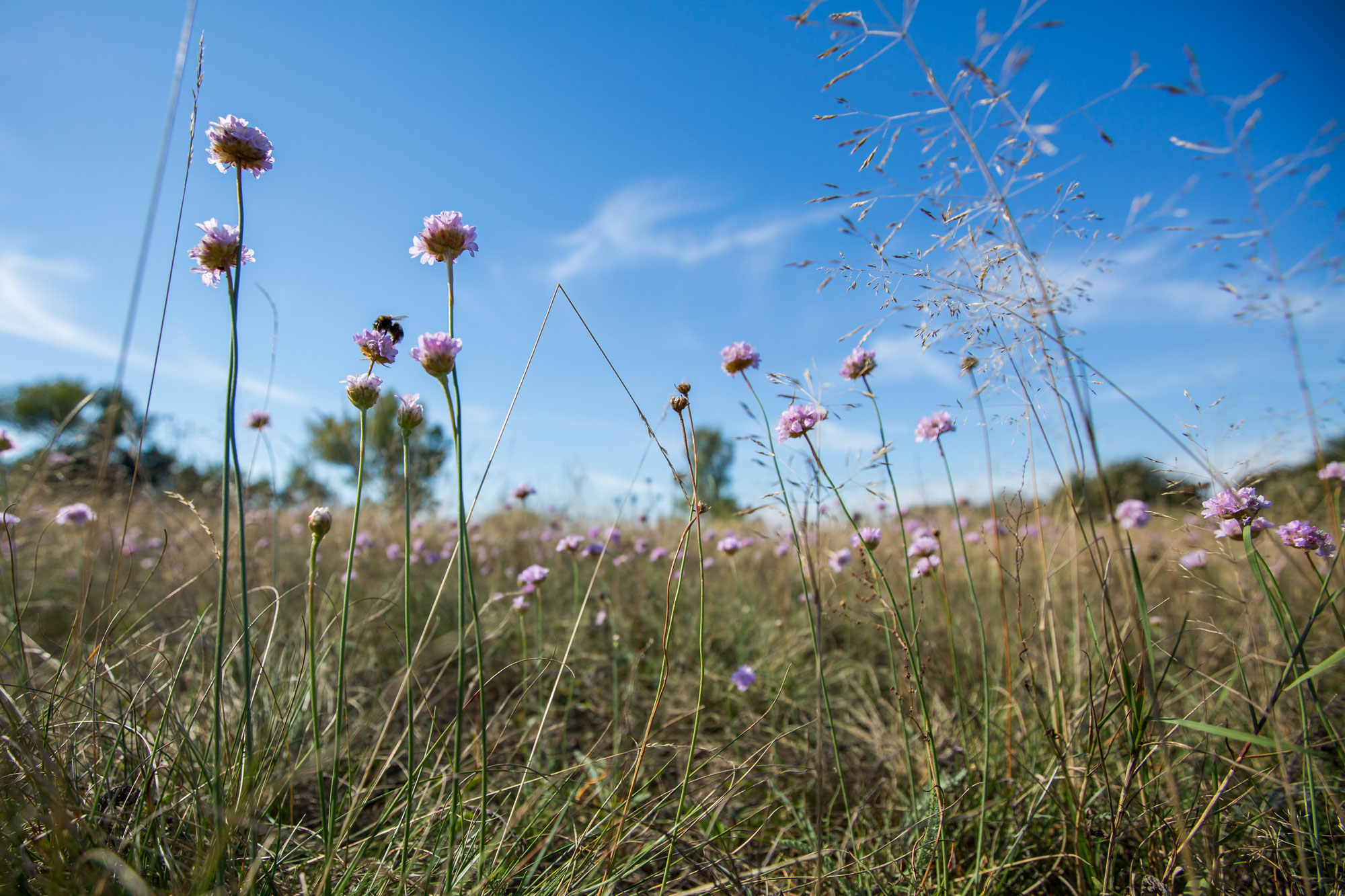 So sieht eine Naturoase aus – in echt!