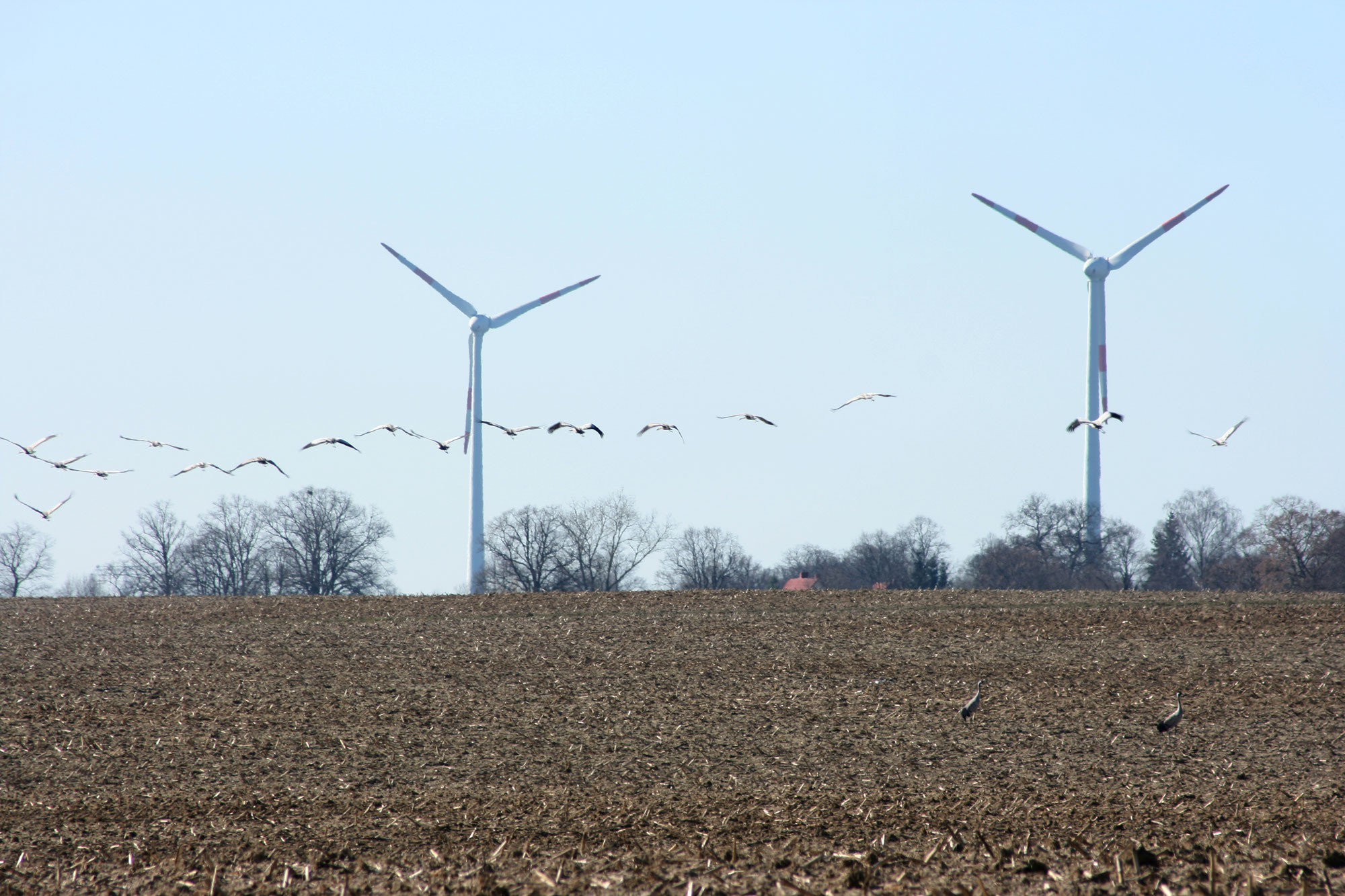 Wie viel Windkraft verträgt die Natur? Unsere Position zum Ausbau im Landkreis