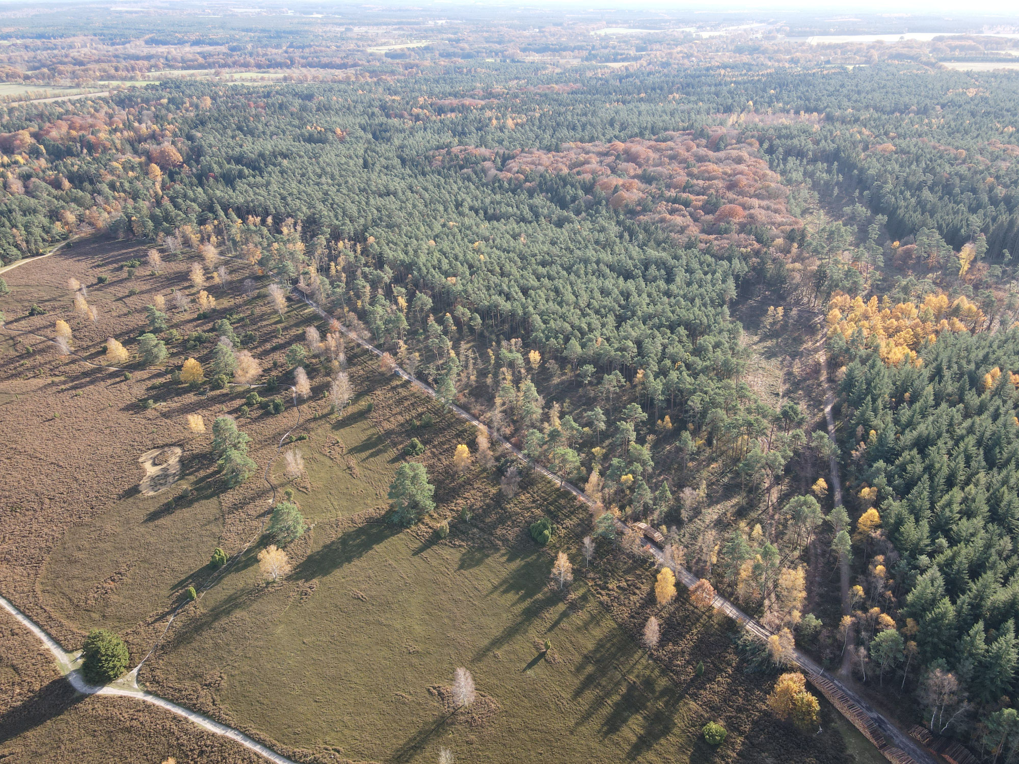 Kleine Lichtblicke für die Vielfalt: Ein Newsletter informiert über Naturschutz-Fortschritte im Landkreis
