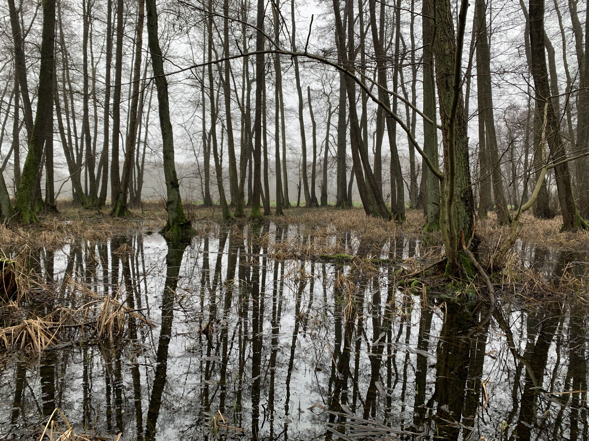 Warum Regen Segen bringt (zumindest ein bisschen)