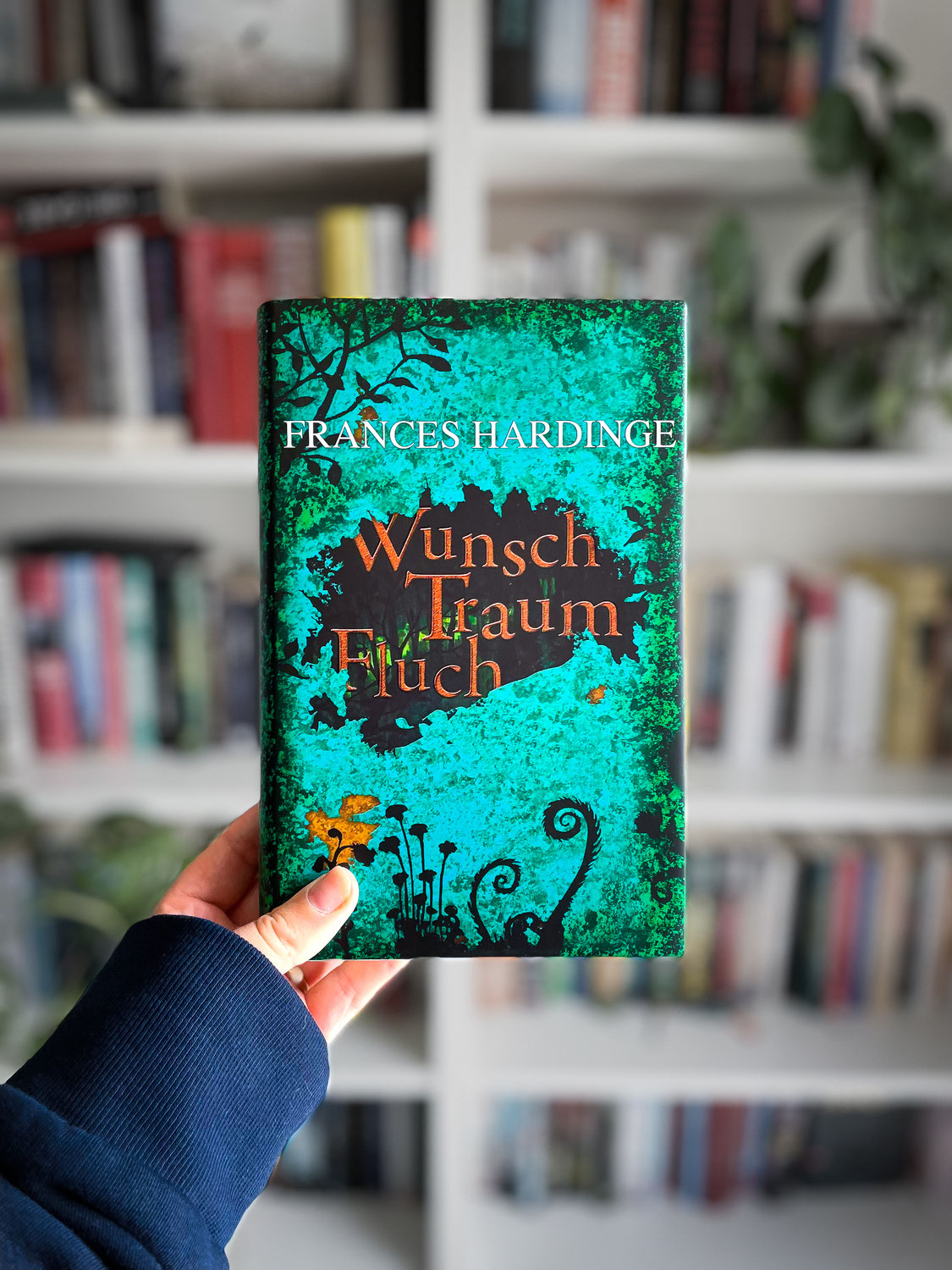 „Wunsch Traum Fluch“ von Frances Hardinge