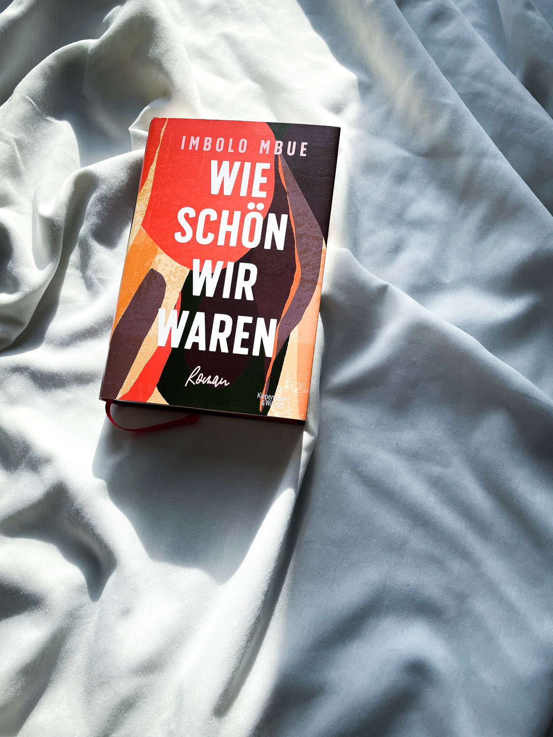 „Wie schön wir waren“ von Imbolo Mbue