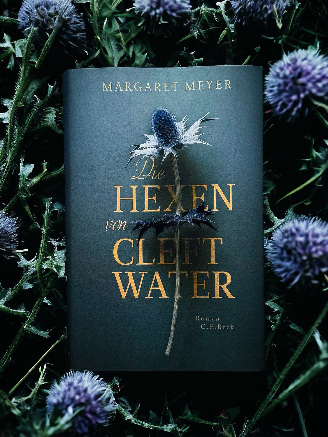 „Die Hexen von Cleftwater“ von Margaret Meyer