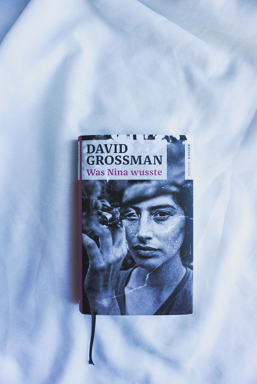 „Was Nina wusste“ von David Grossman