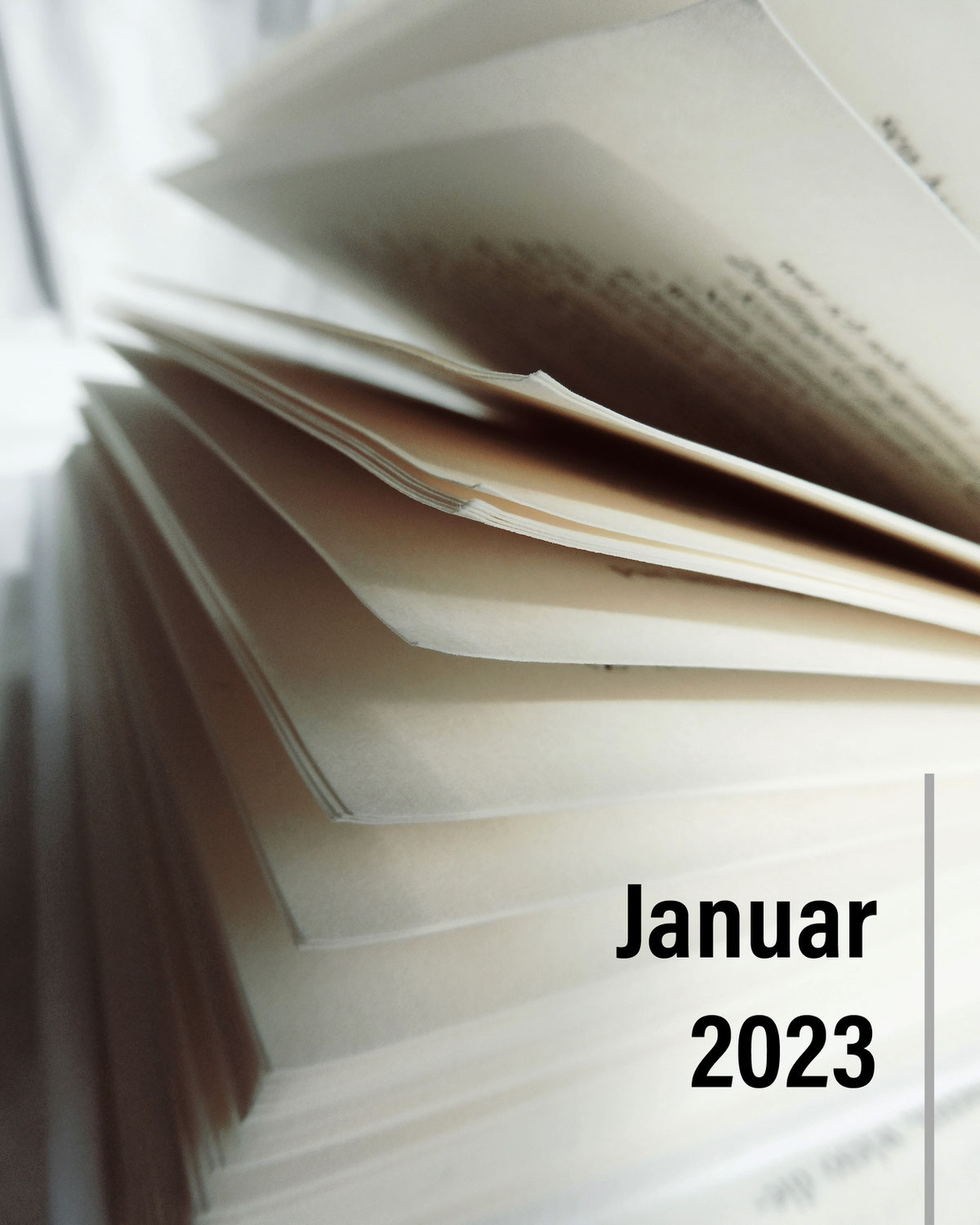 Monatsrückblick Januar 2023