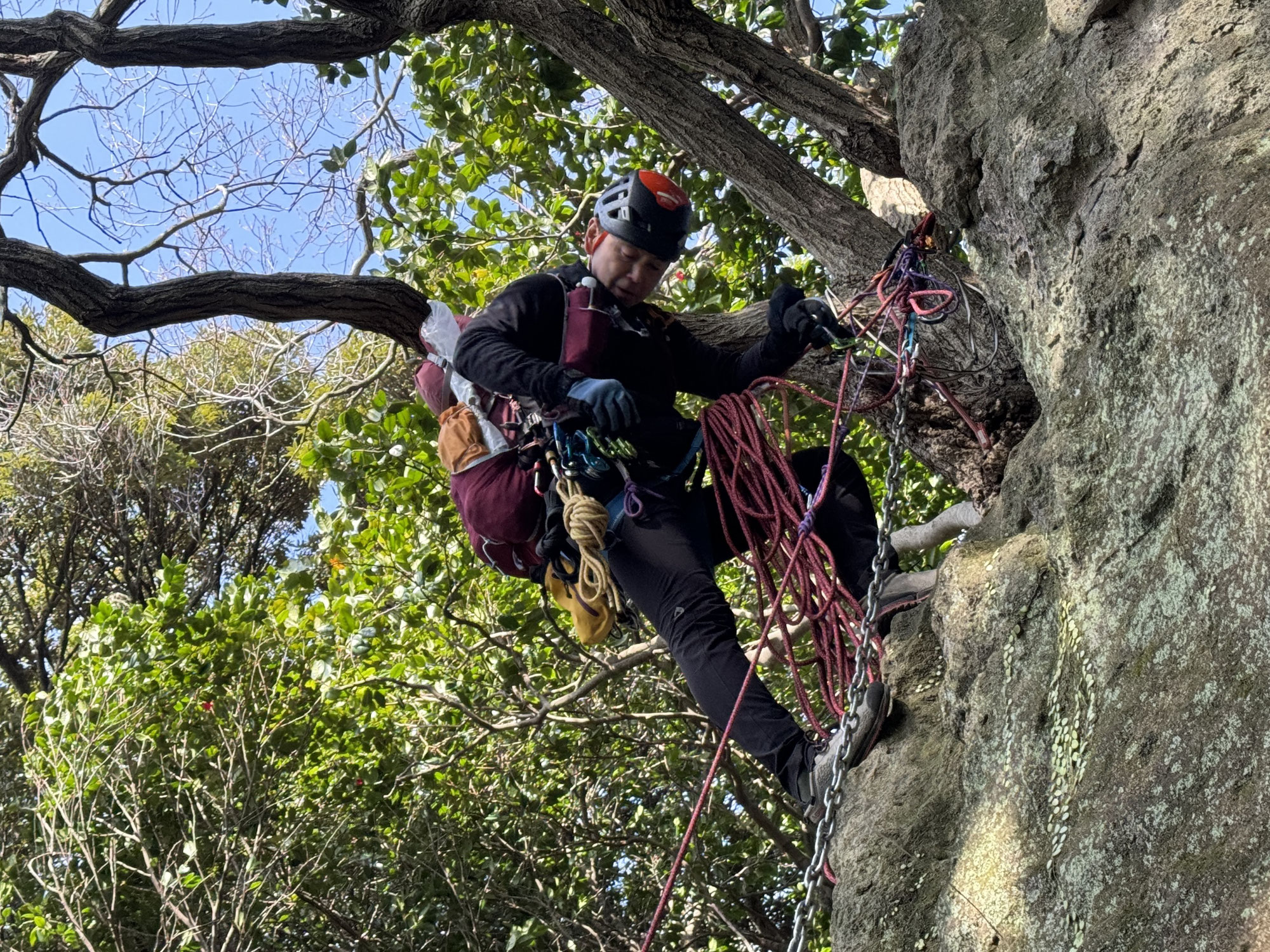 登山のロープの選び方｜どのロープを何mもてば良いのだろう？