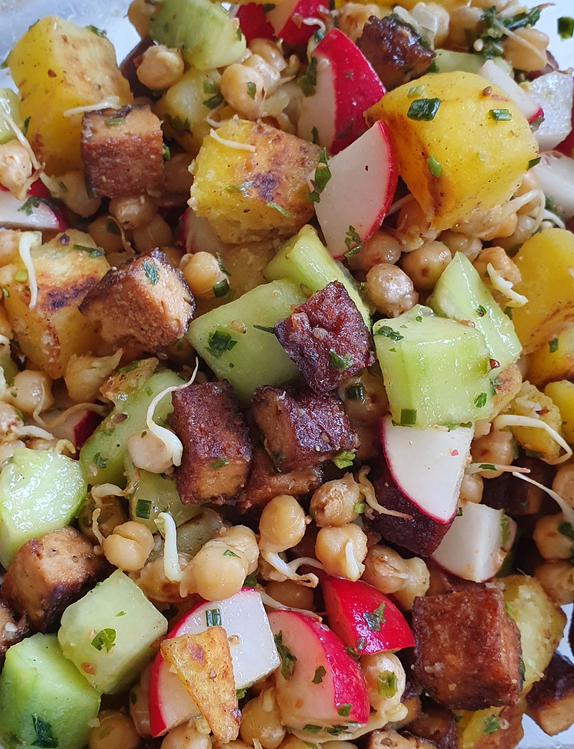 Bunte, warme, Kichererbsen-Sprossen Salat Variante