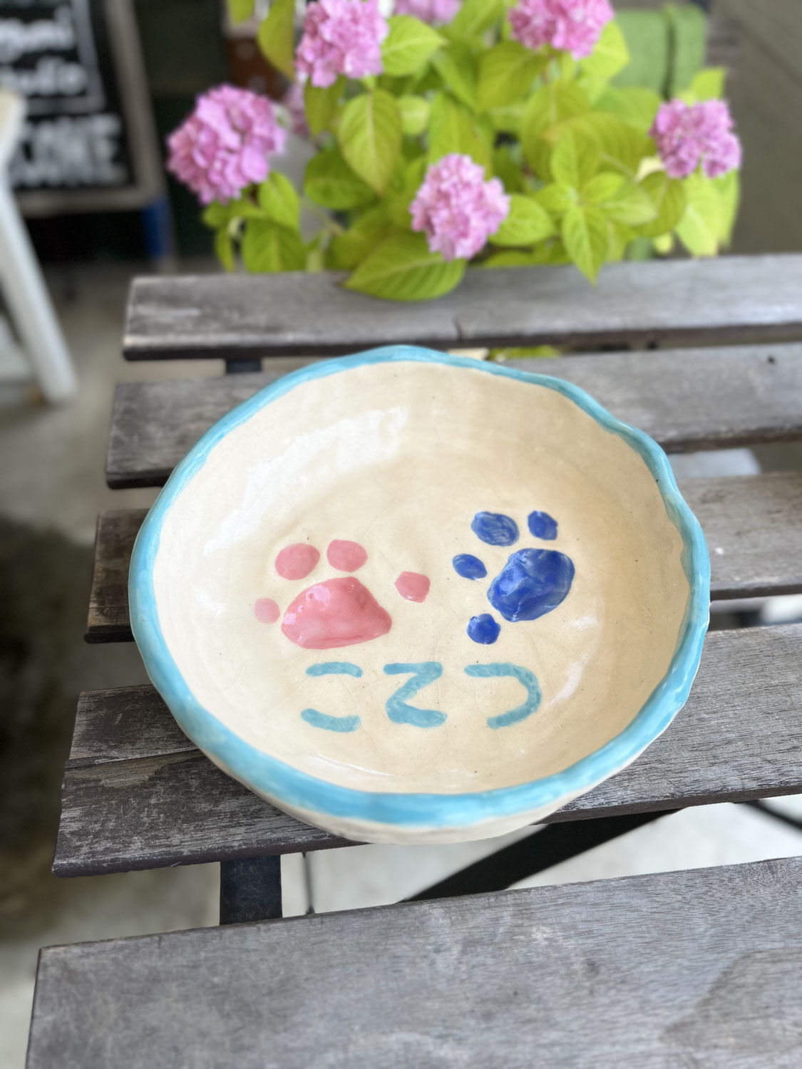 わんにゃんWalkerにご紹介頂きました