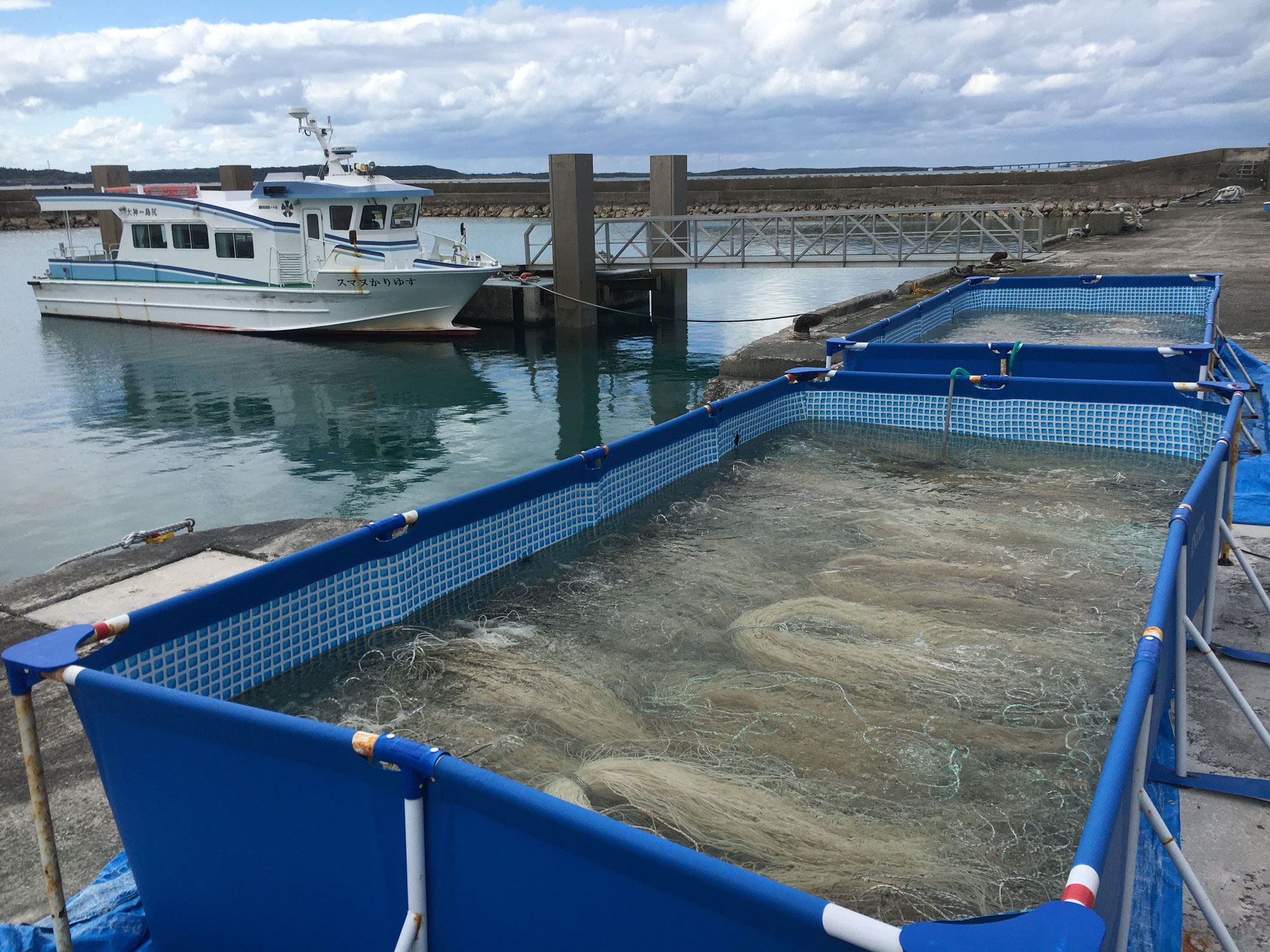 日本の食文化 沖縄県宮古島市 別名神の島と言われる大神島のモズク