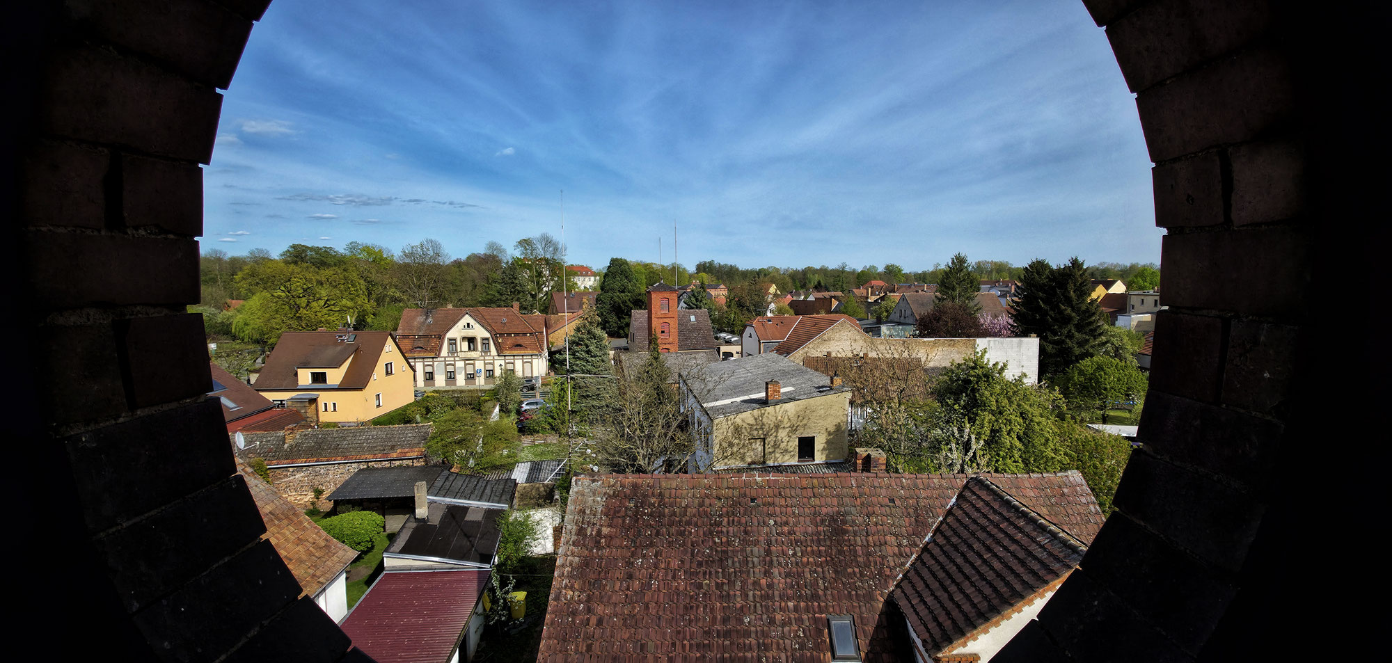 Neuer Eulenkasten in Lübbenau