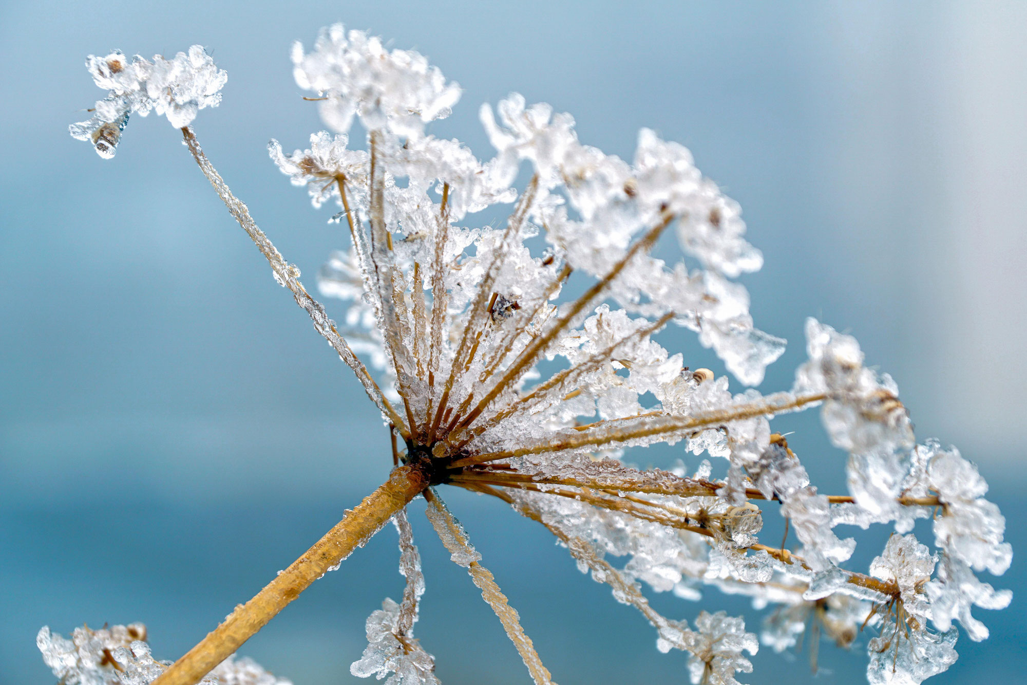 Gestärkt durch den Winter