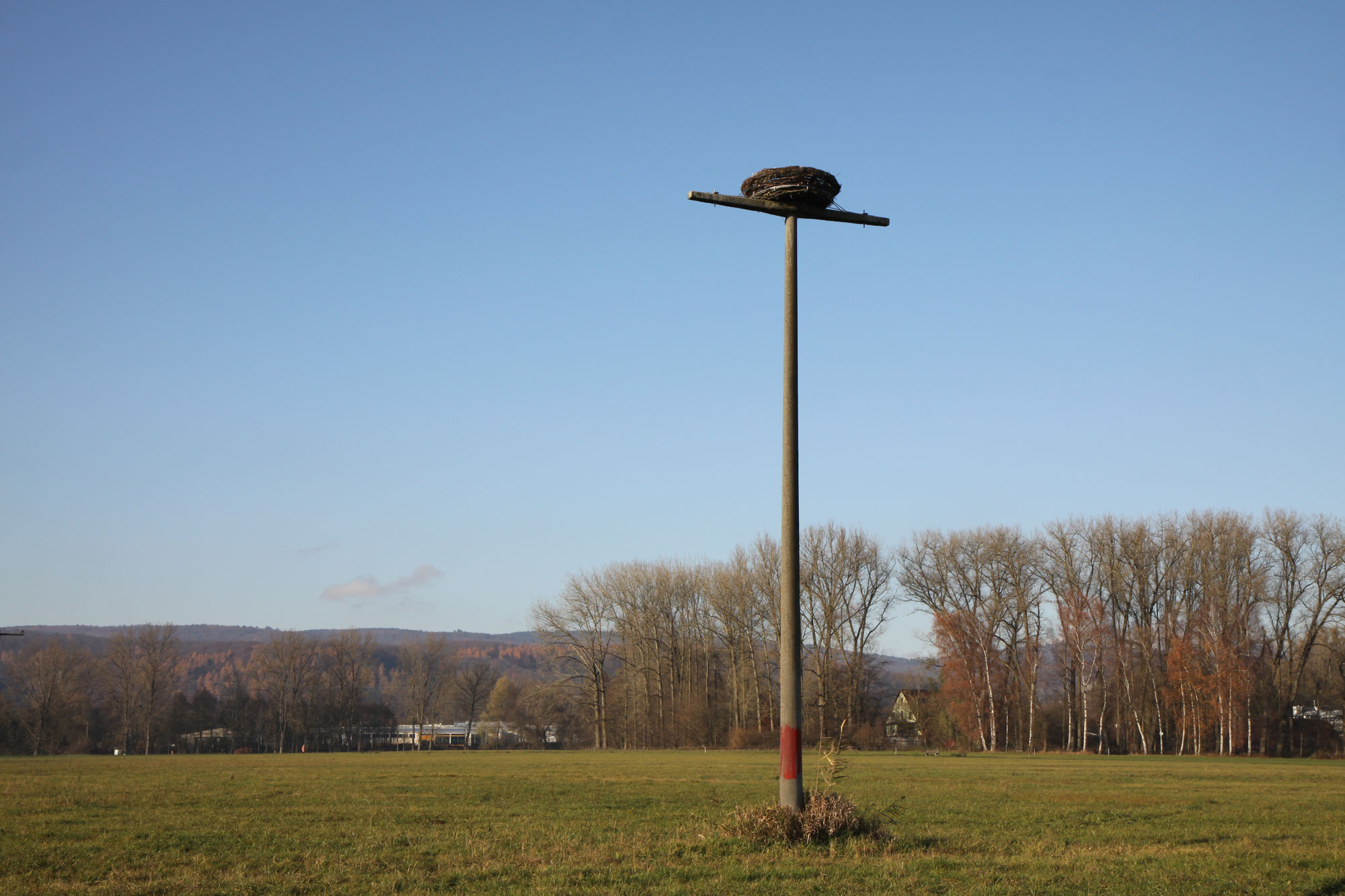 Das Storchennest ist bezugsfertig