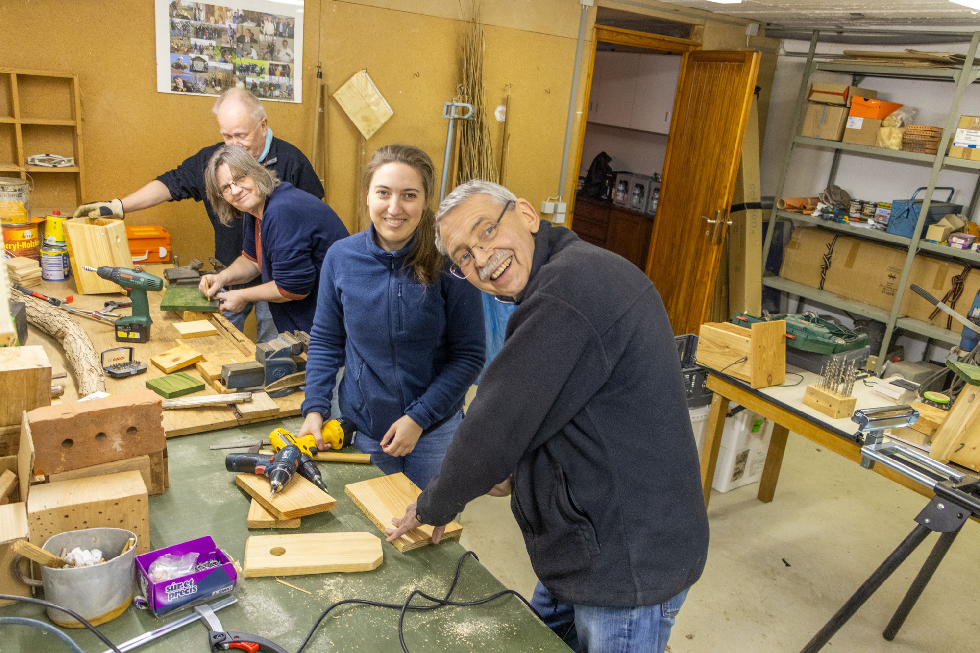 Wohnungsbau für Meisen