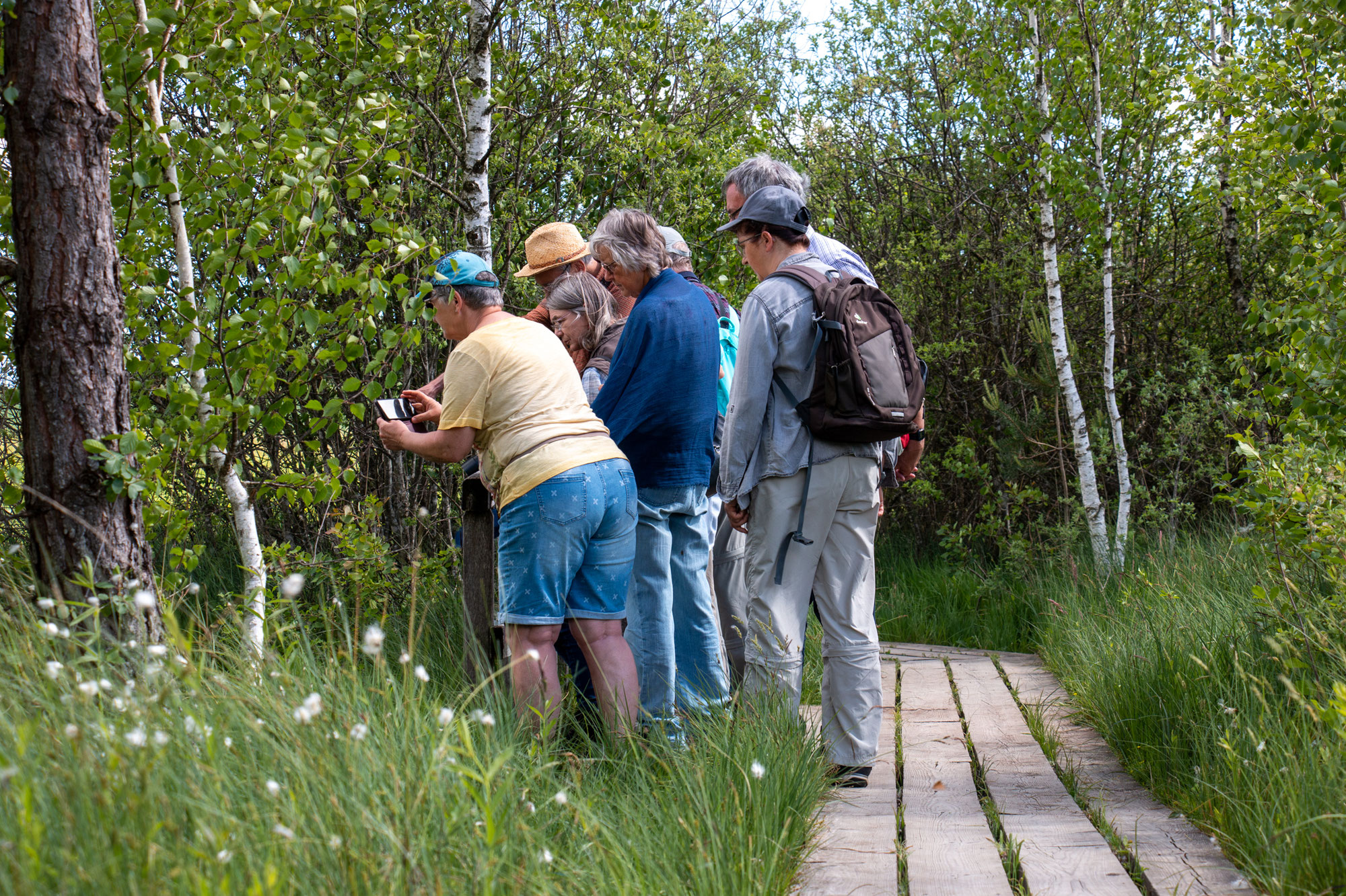 Vom Federseesteg bis zum Wackelwald