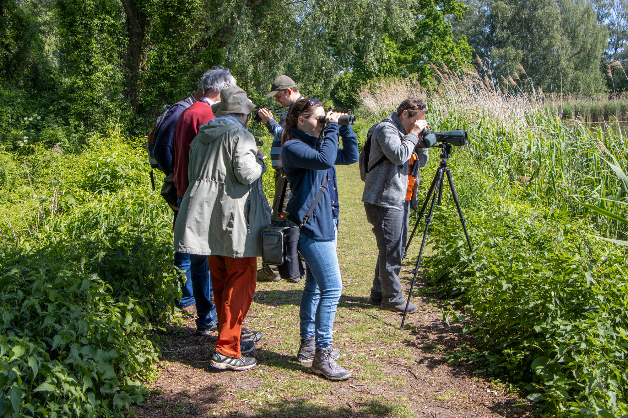 Zu Besuch in der Vogel-Kinderstube