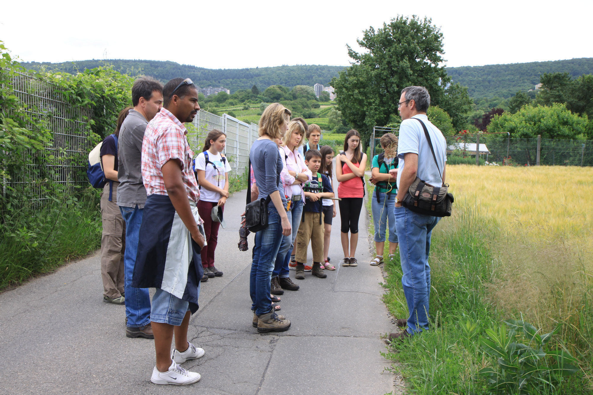 Auf dem Blütenweg bei HD-Rohrbach