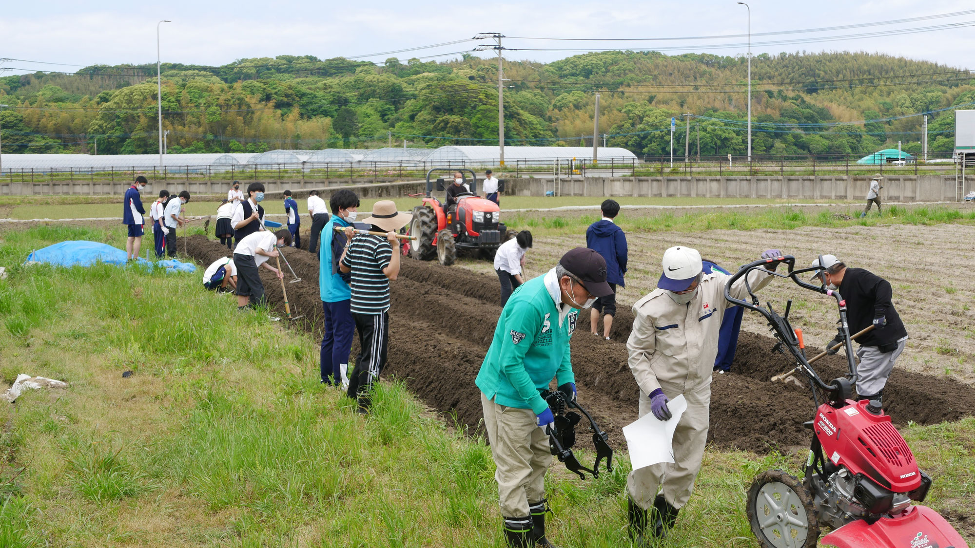 2024年さつま芋植え付け完了！