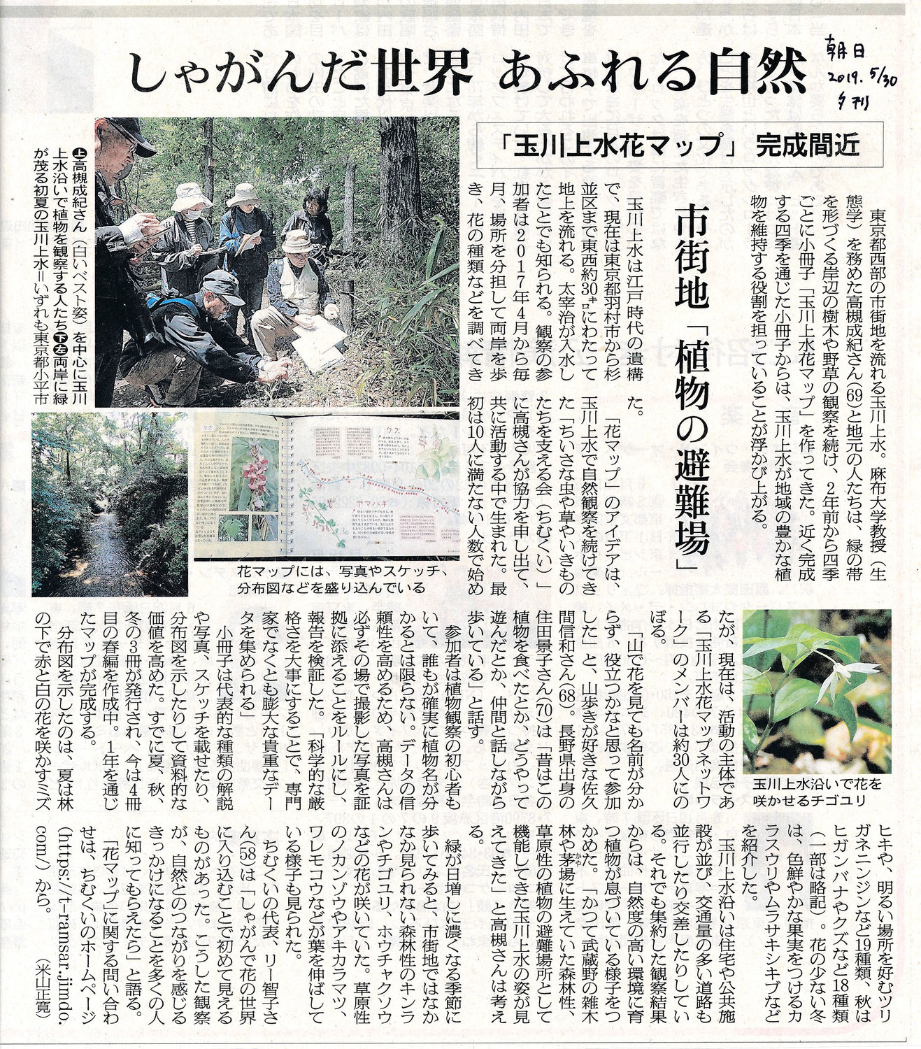 2019年5月30日朝日新聞夕刊に玉川上水花マップの記事が載りました。