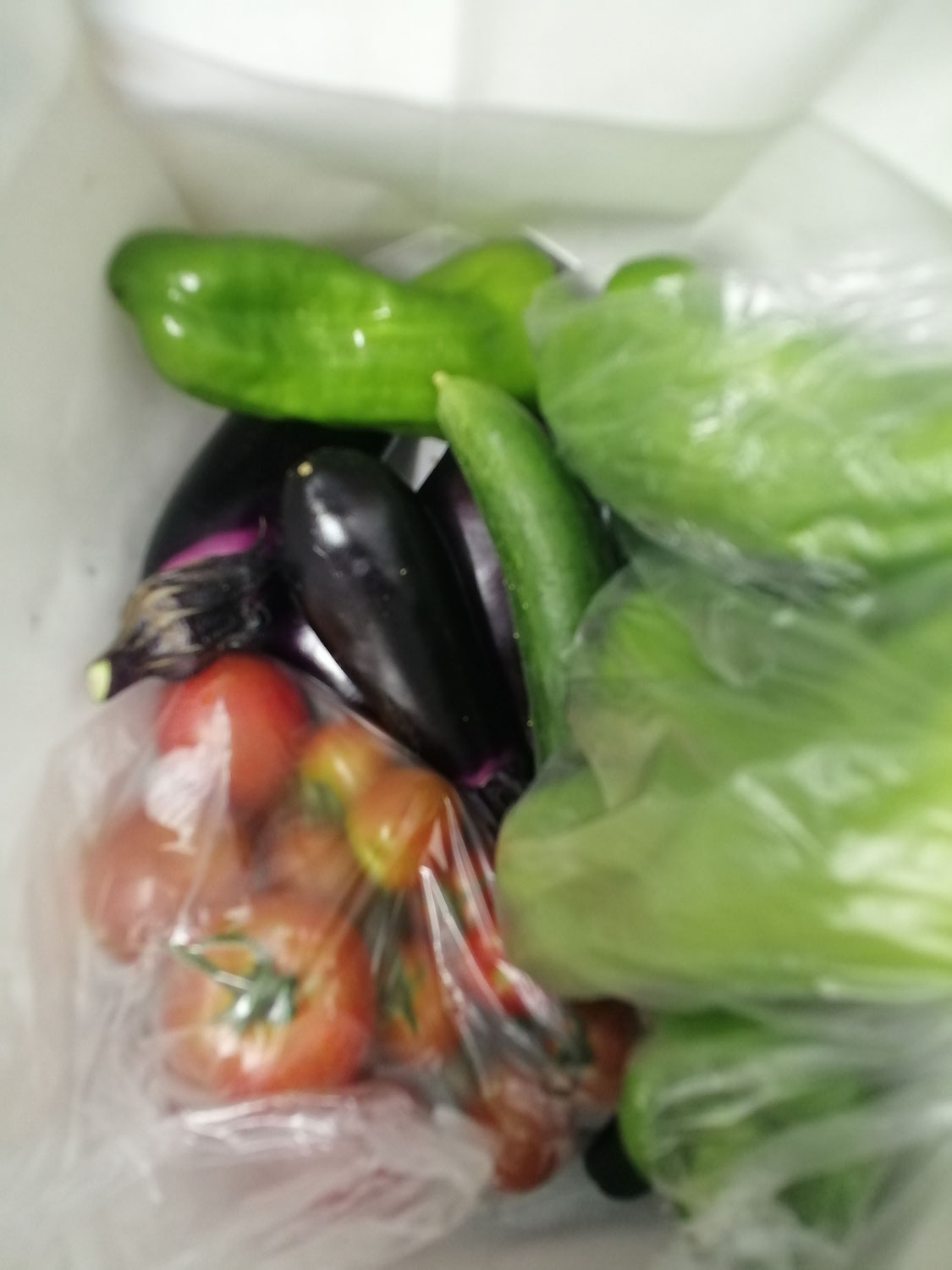 お野菜頂きました！
