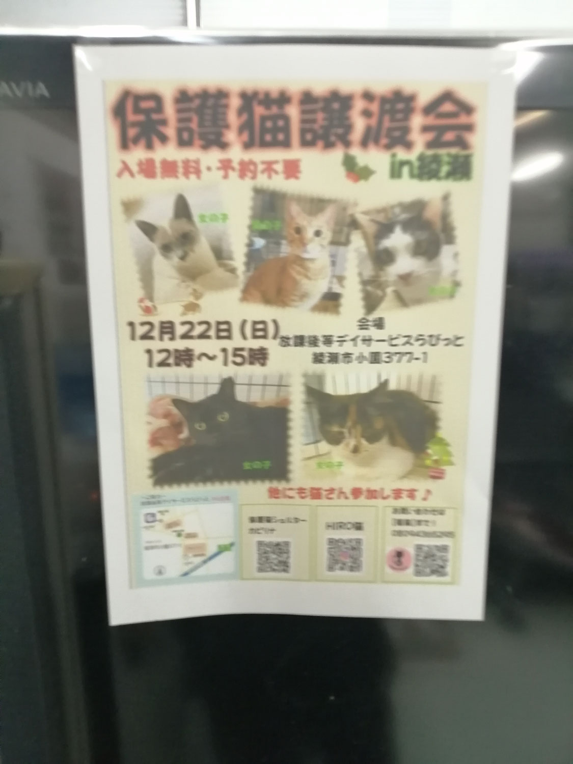 ポスター貼らせて頂きました！