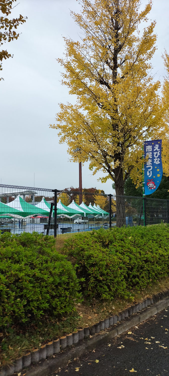 11月19日（日）は、海老名市民まつり