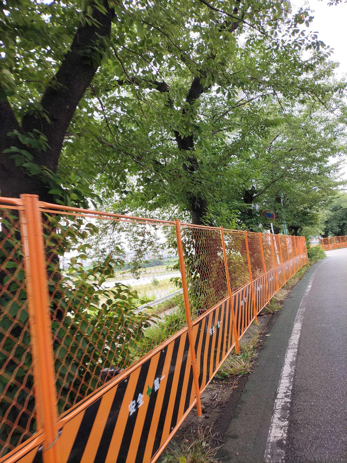 もう鮎まつりの準備が始まってました。