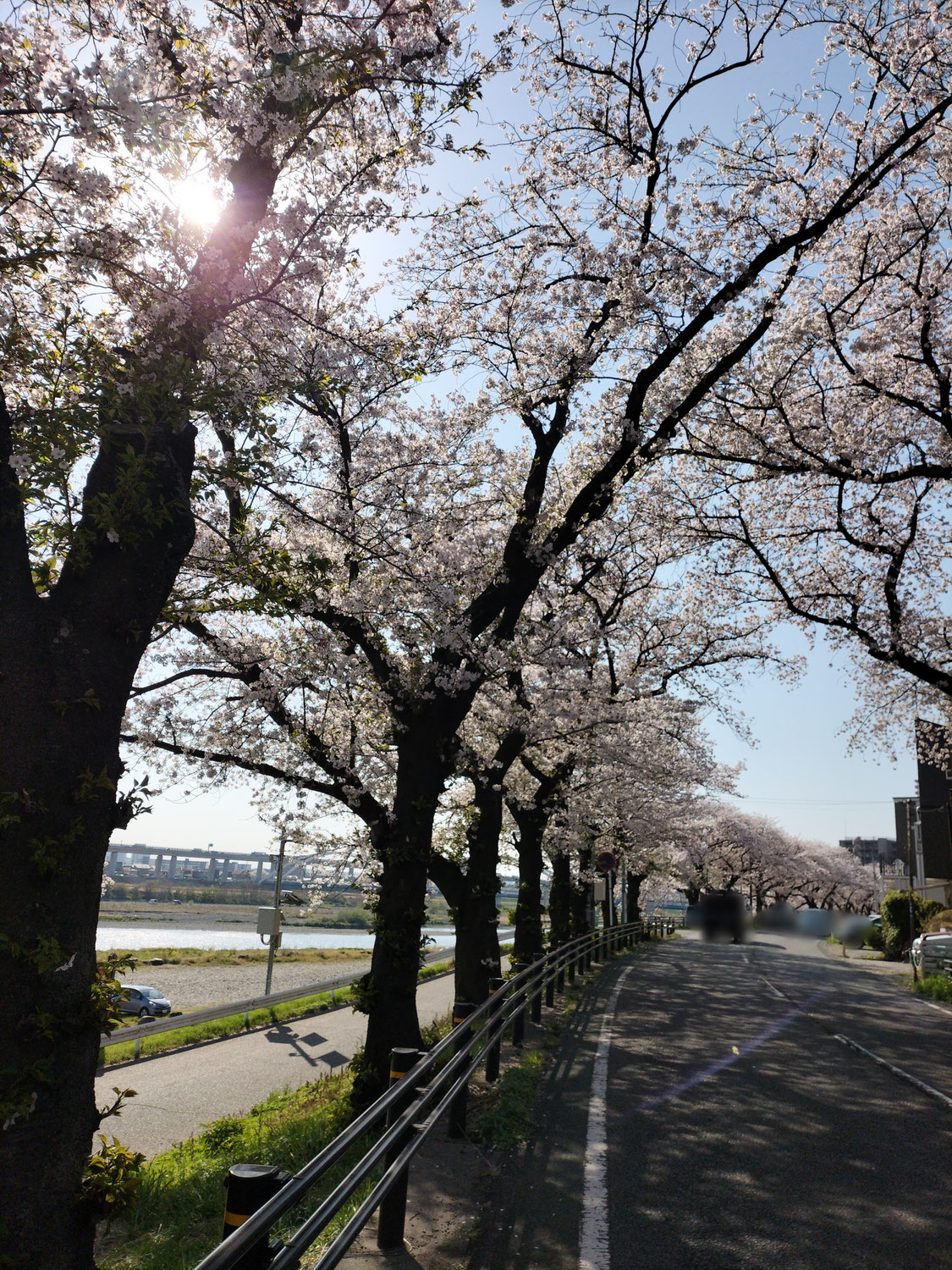 お陰様で息子たちの卒業＆入学ラッシュを無事に乗り越え？られました　笑