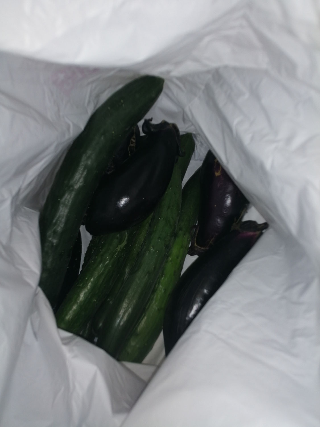 お野菜頂きました(^^)