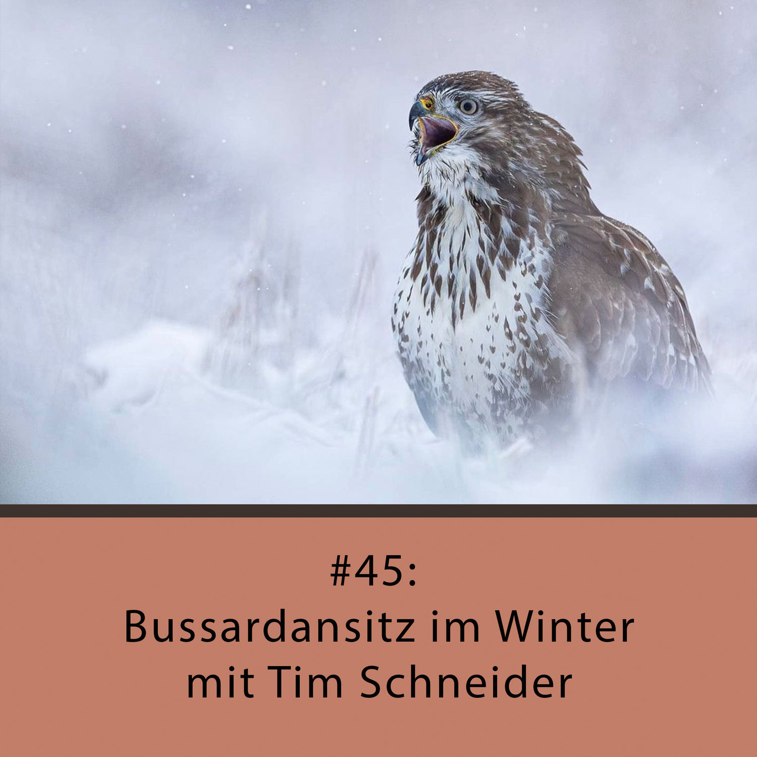 Naturfotocast #45 - Bussardansitz im Winter - mit Tim Schneider